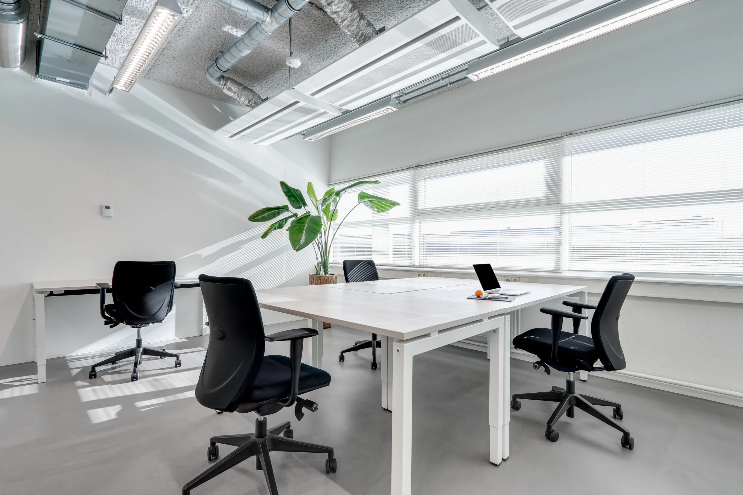 Moderne en lichte kantoorruimte in Amsterdam Zuidoost met vier bureaus, ergonomische stoelen, een laptop en een grote kamerplant.