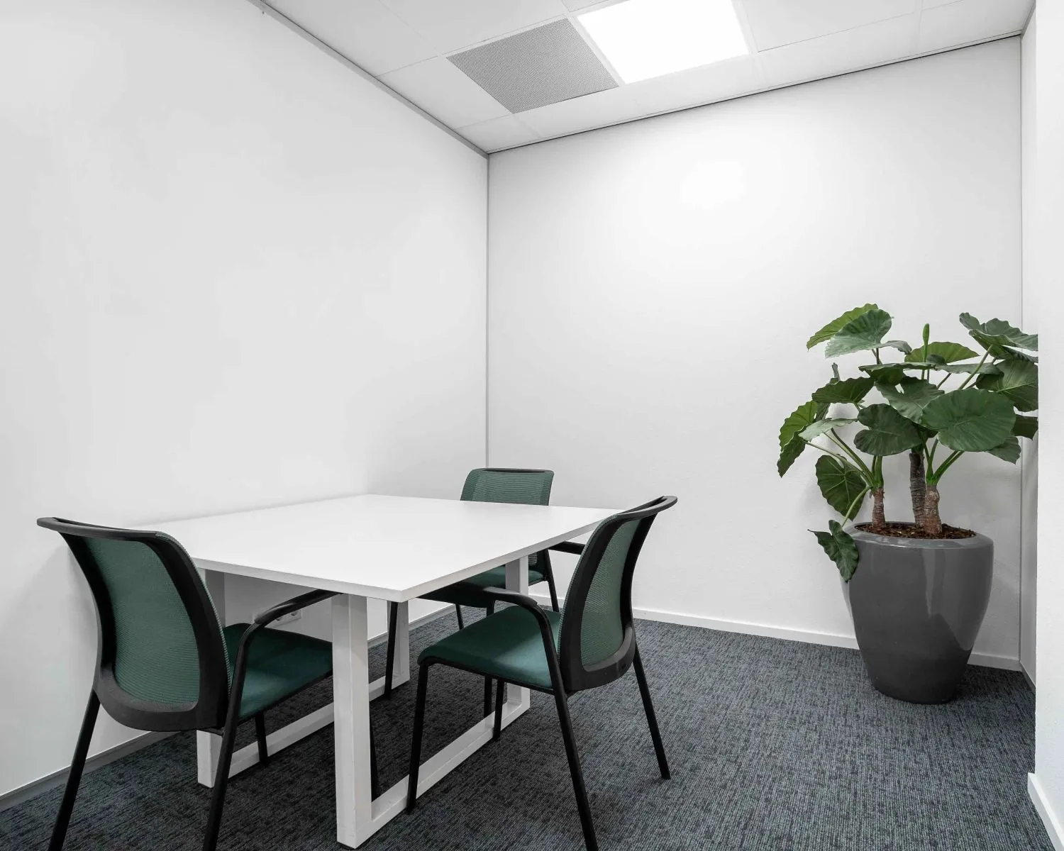 Kleine, strak ingerichte kantoorruimte aan de Hurksestraat 43 in Eindhoven met een witte tafel, drie stoelen en een grote kamerplant.