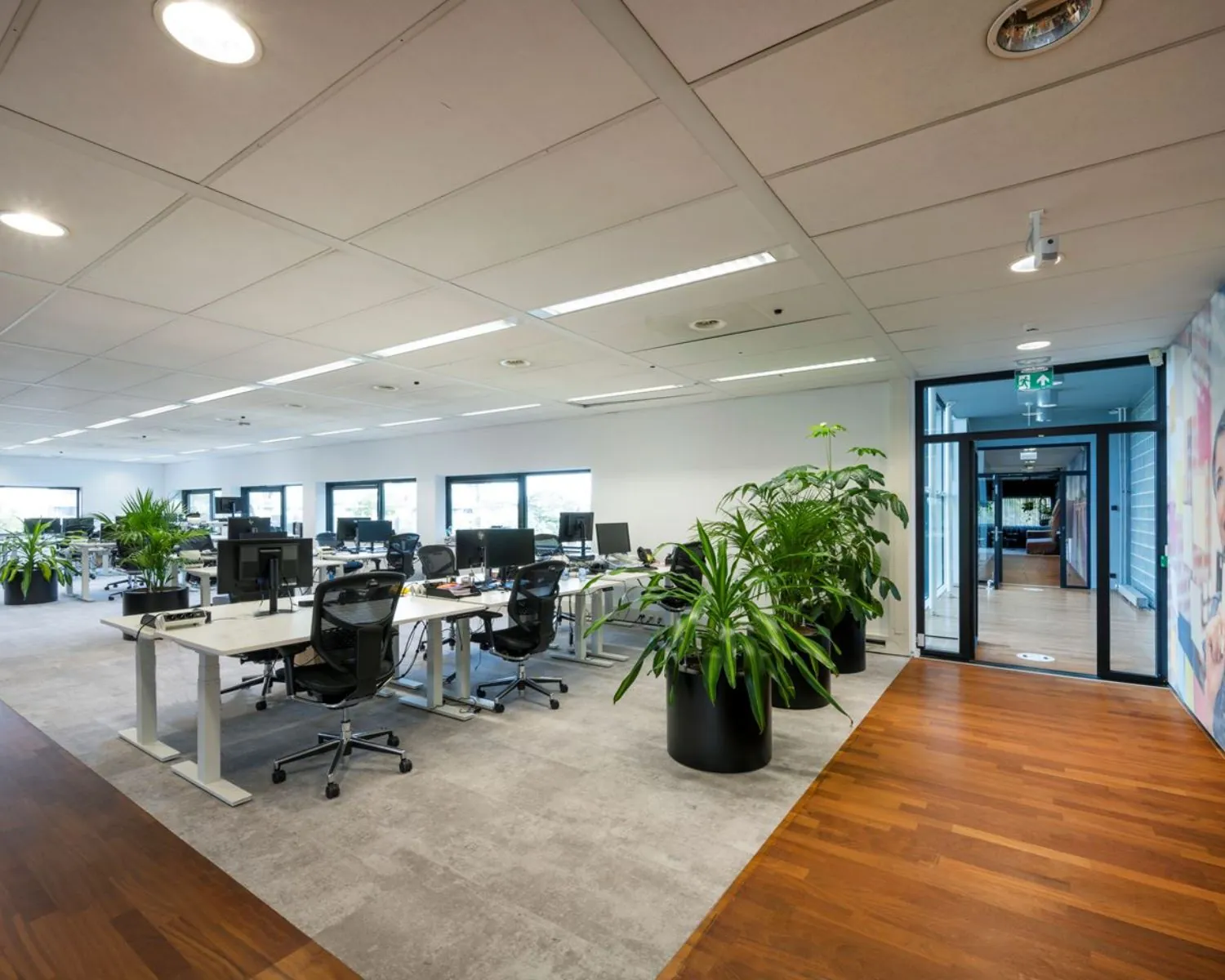 Moderne, open kantoorruimte met bureaus, kantoorstoelen, planten en grote ramen aan het Rietlandpark 309-357 in Amsterdam.