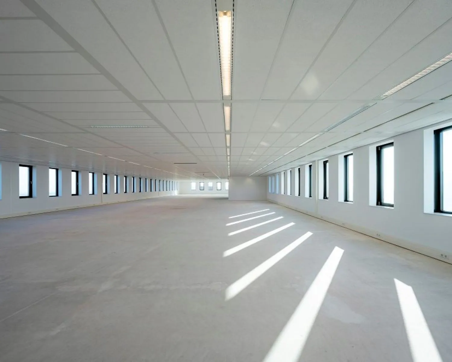 Lichte, lege kantoorruimte te huur aan de Bloemlaan 2 in Hoofddorp met ramen aan beide zijden.