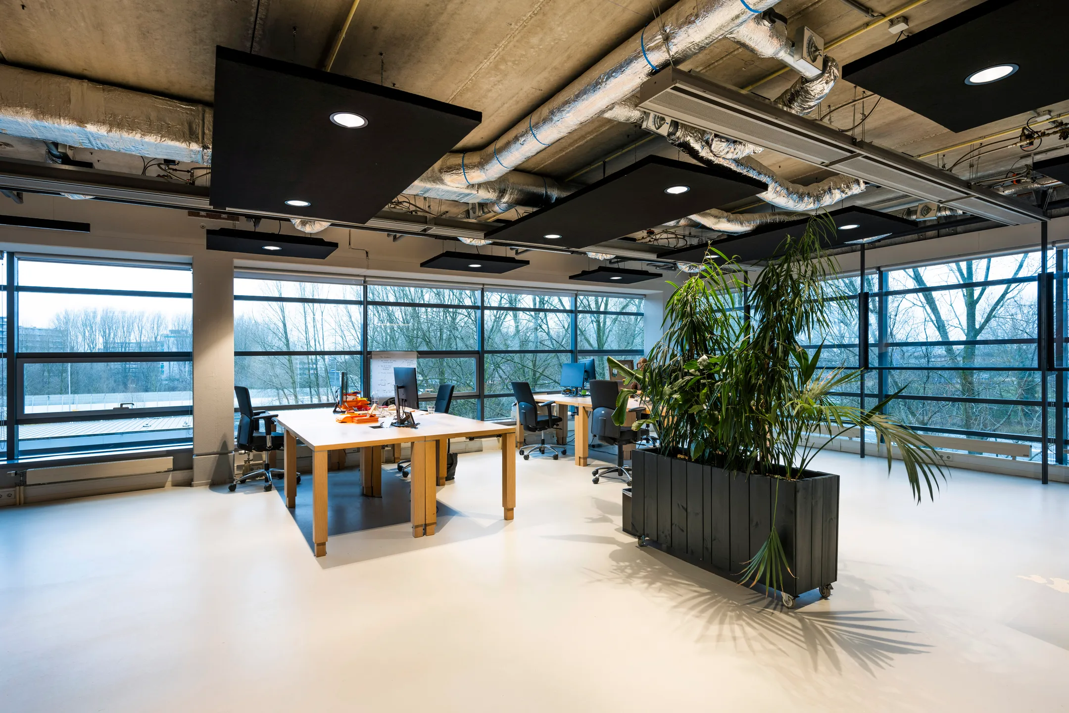 Moderne en lichte kantoorruimte met werkplekken en grote ramen met uitzicht op bomen.