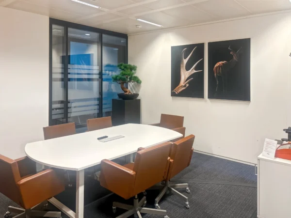 Een moderne vergaderruimte met een witte tafel, bruine stoelen, een bonsaiboom en foto's van een gewei en een hert aan de muur.
