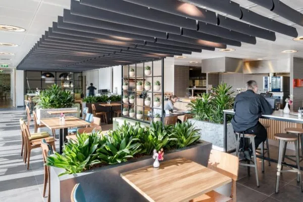 Modern bedrijfsrestaurant aan de Mercatorlaan met houten meubilair, veel groen en een open keuken.