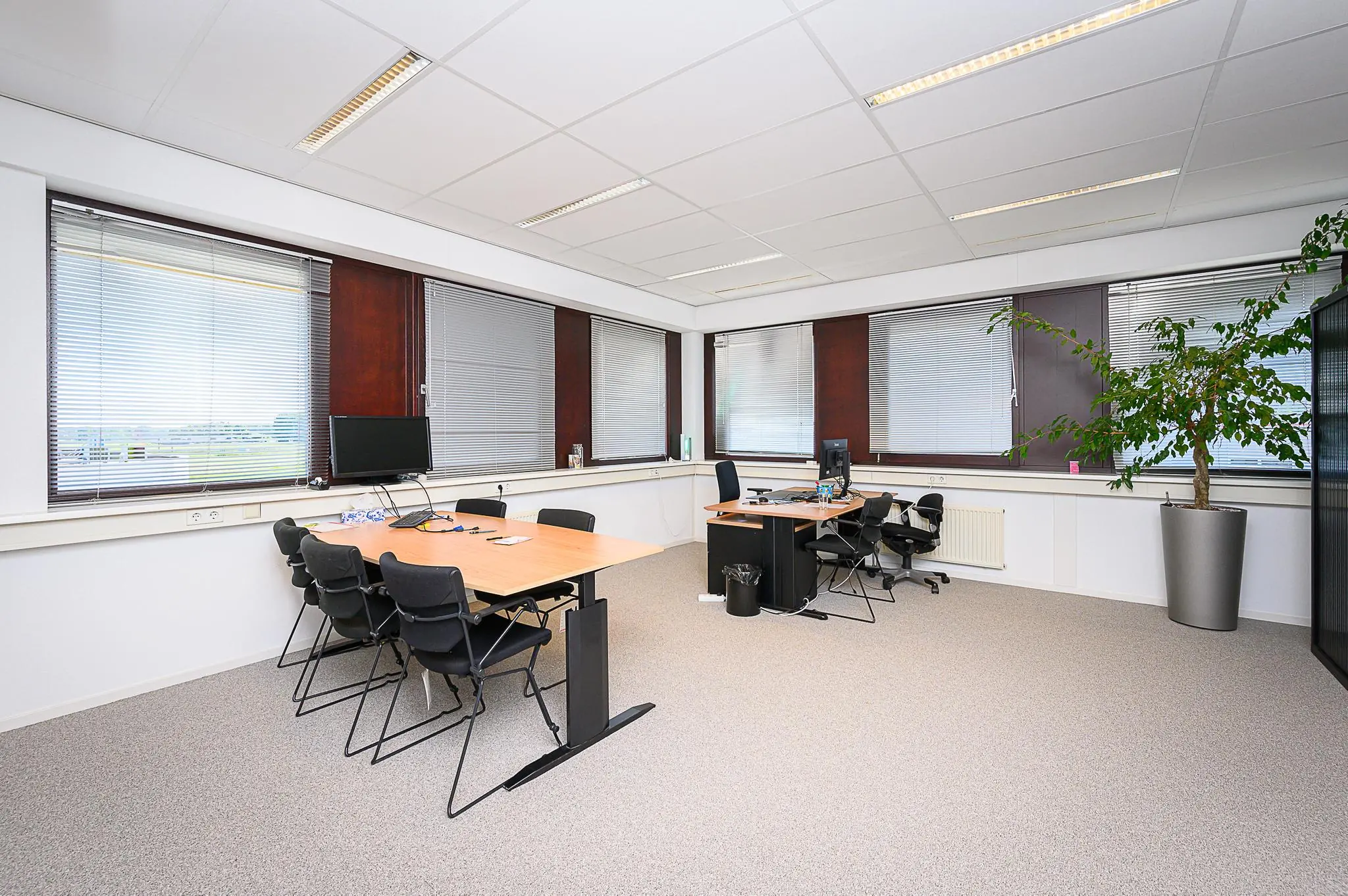 Modern kantoor met vergadertafel, werkplekken, grote ramen en een grote plant in de hoek.