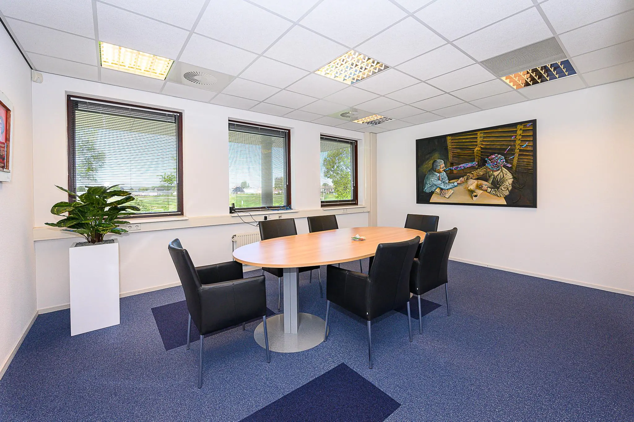 Vergaderruimte met ovale houten tafel, zes zwarte stoelen, grote plant en schilderij aan de muur in kantoor aan de Spoorhaven.