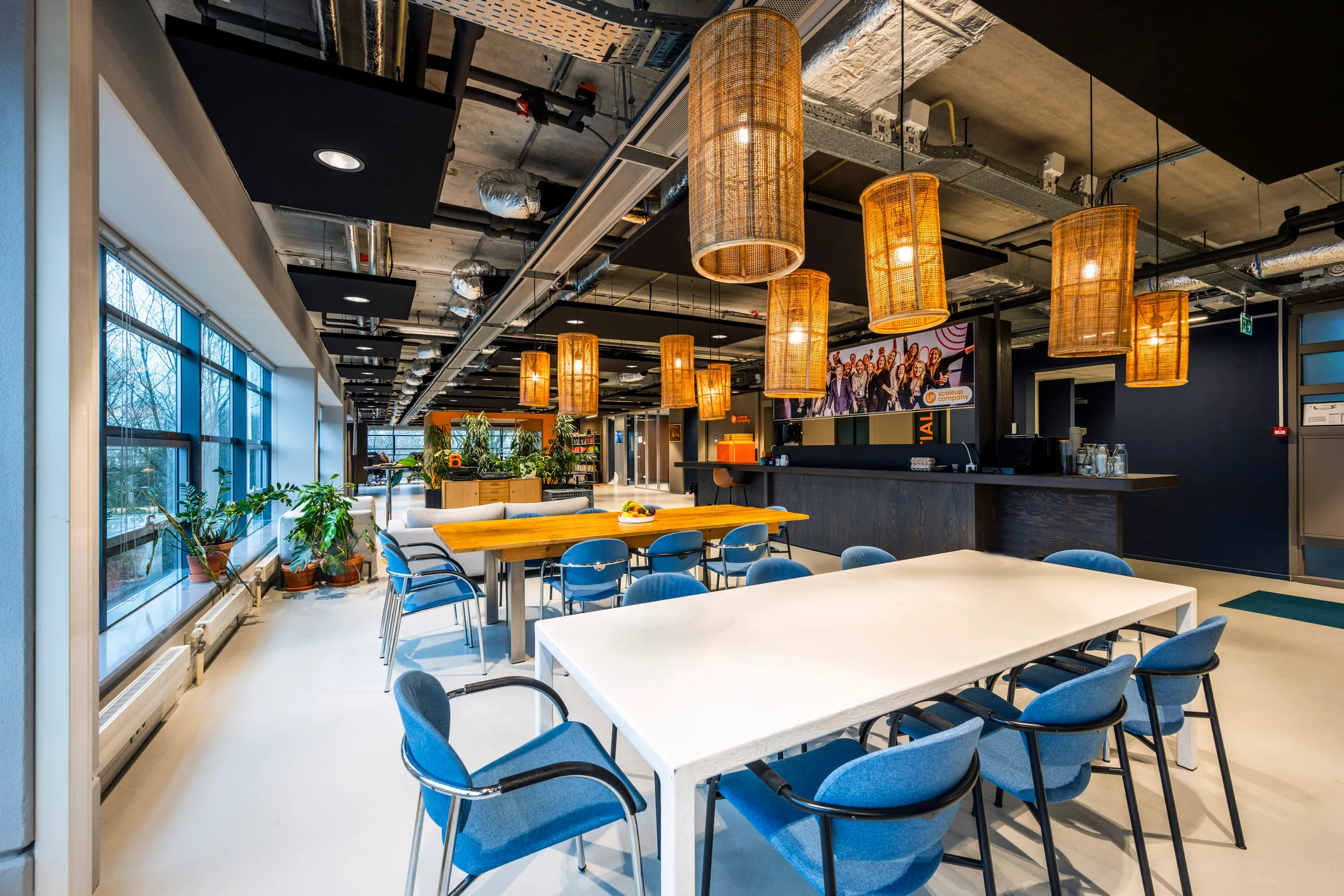 Een moderne kantoorruimte met houten tafels, blauwe stoelen, grote ramen, en hangende rieten lampen.
