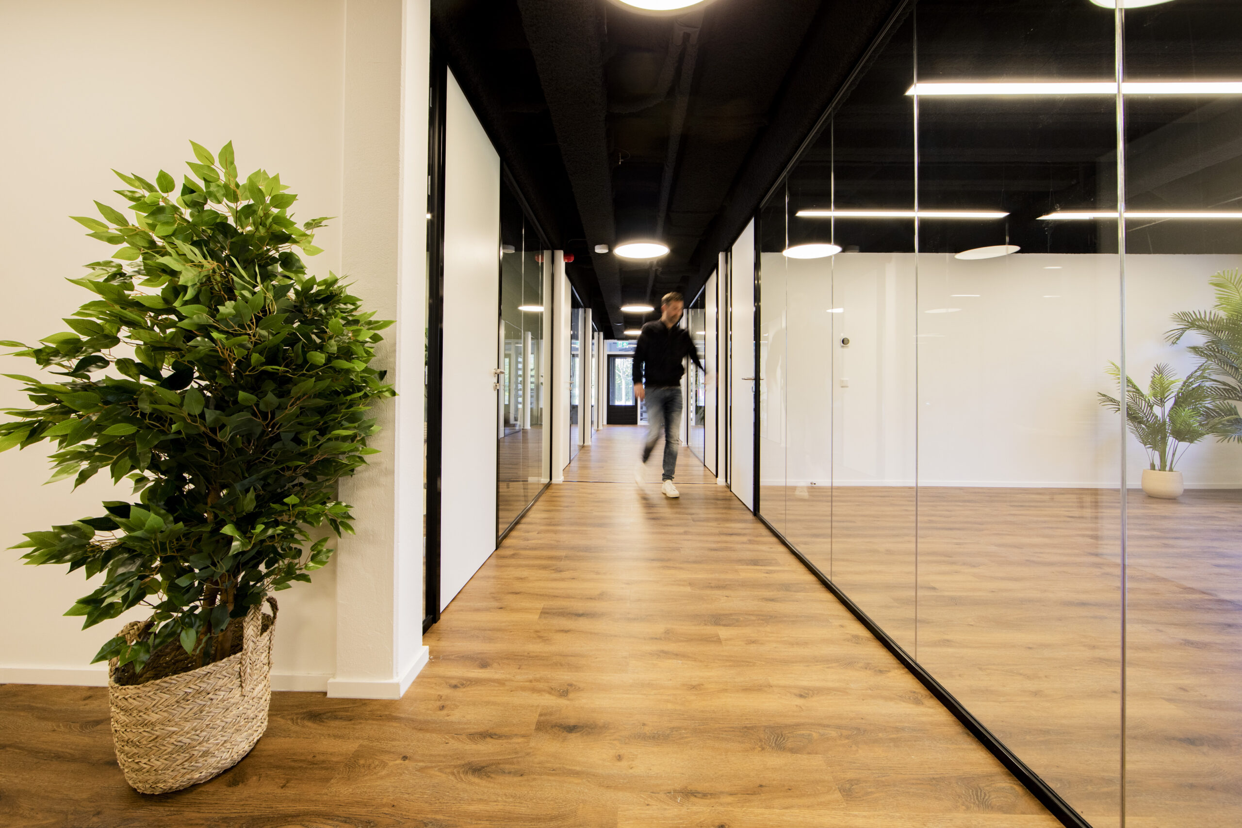 Moderne gang in ELE Office Woerden, met houten vloer, glazen wanden en groene planten.