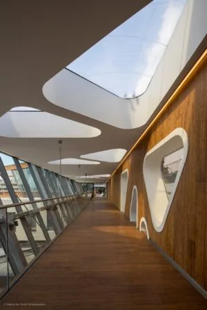 Moderne overdekte loopbrug met houten vloer, glazen wanden en organisch gevormde dakramen.