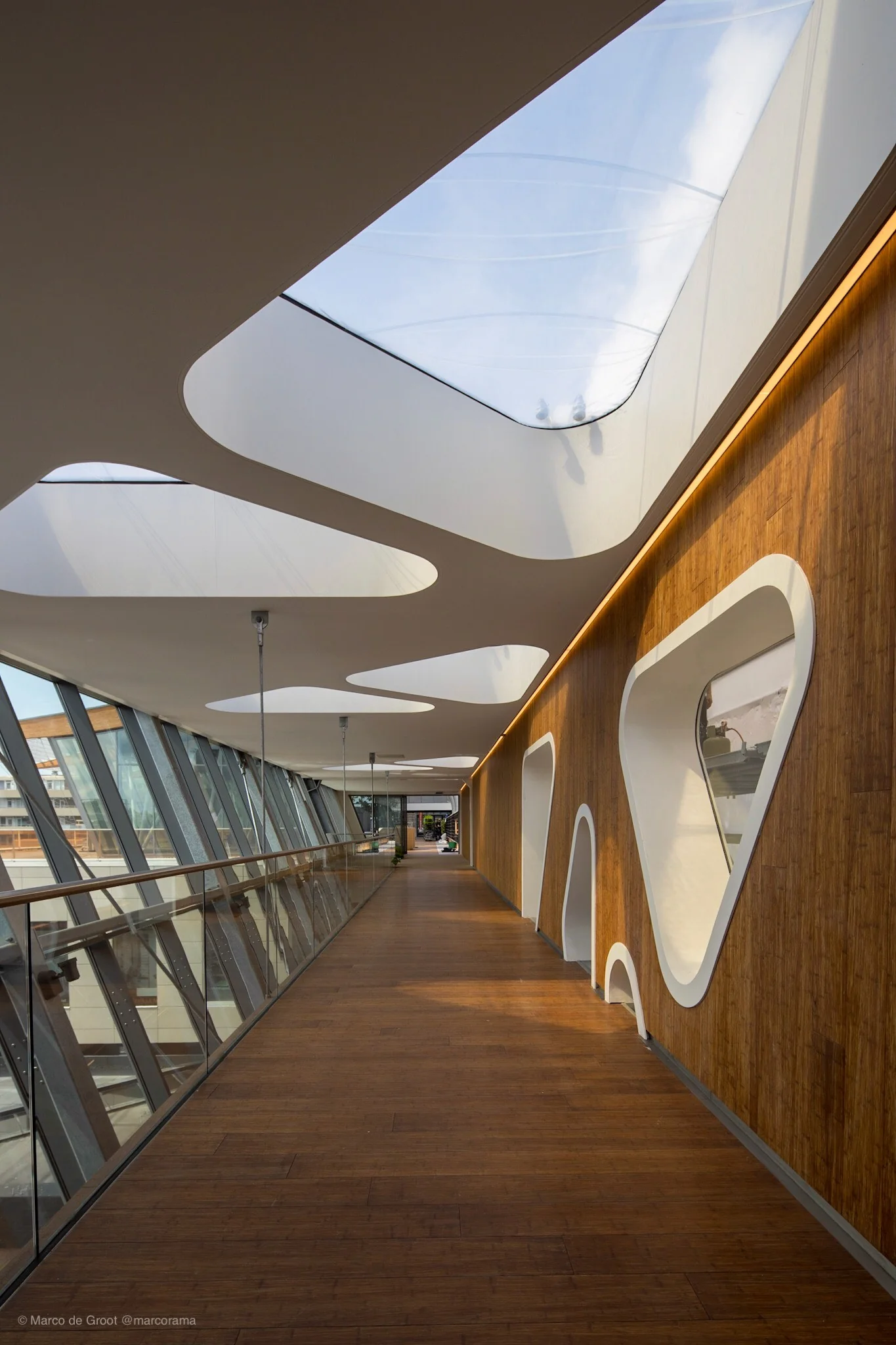 Moderne overdekte loopbrug met houten vloer, glazen wanden en organisch gevormde dakramen.