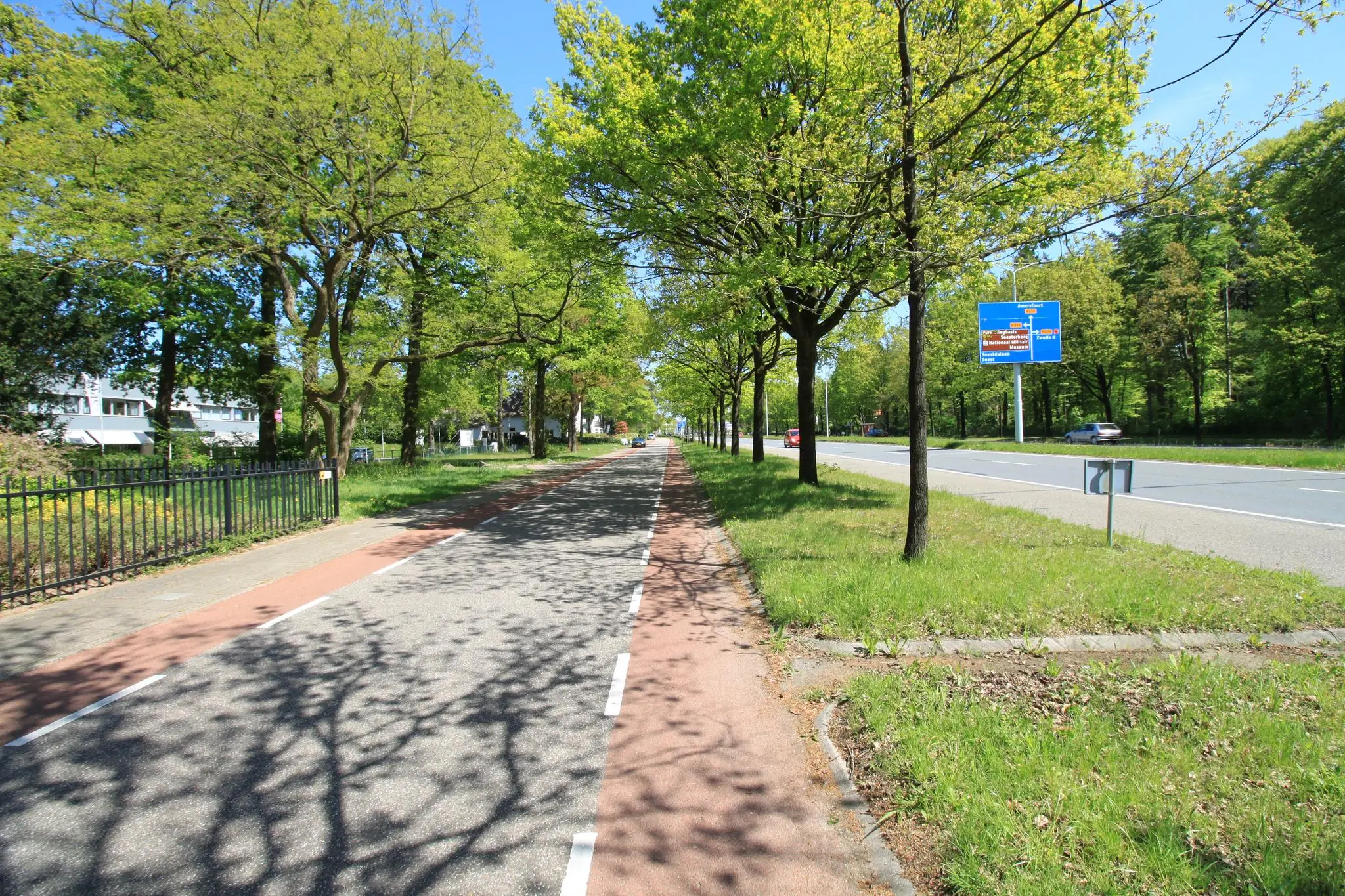 Boomrijke straat met fietspad en rijbaan langs de Amersfoortsestraat op een zonnige dag.