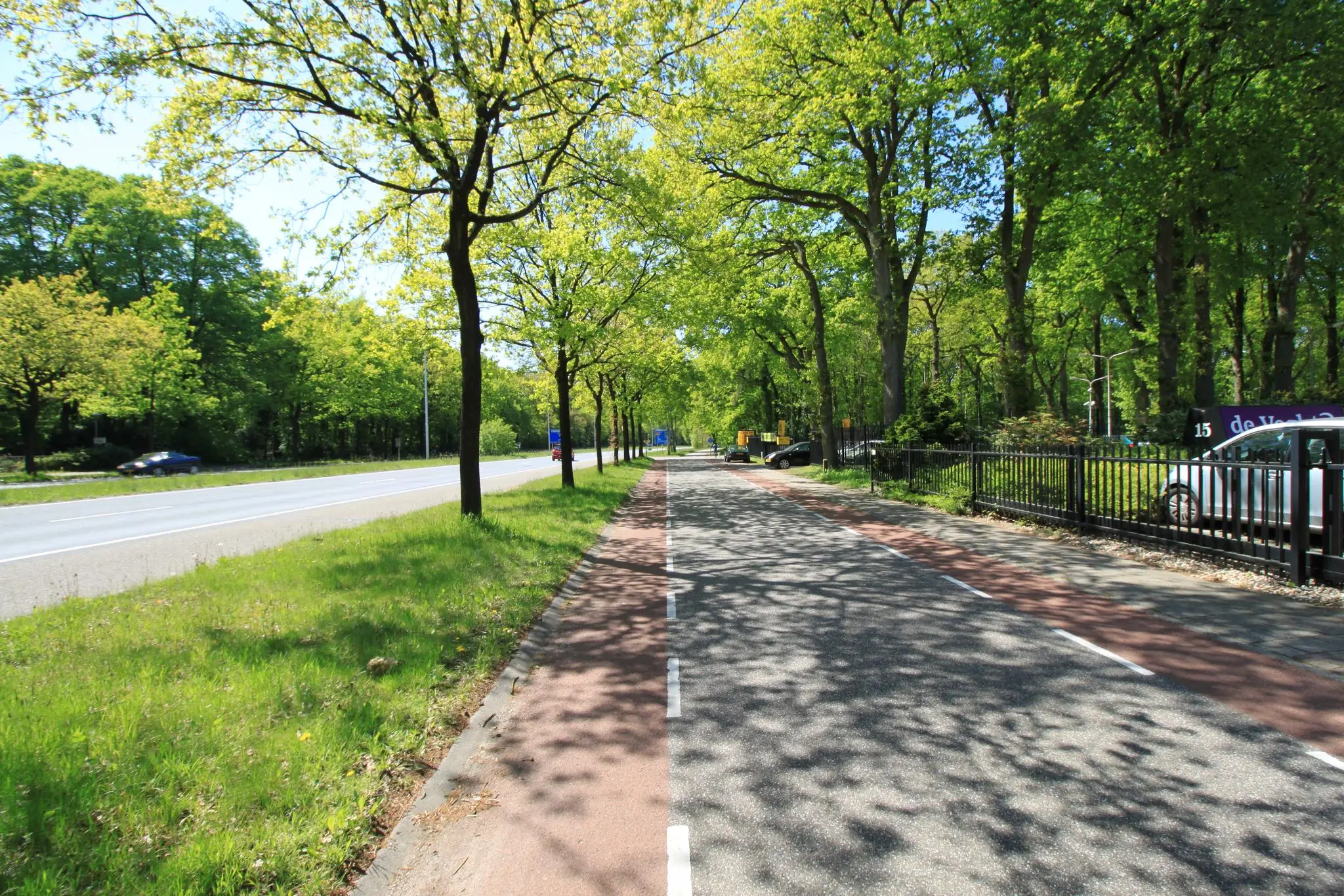 Boomrijke straat met fietspad en weg aan de Amersfoortsestraat op een zonnige dag.