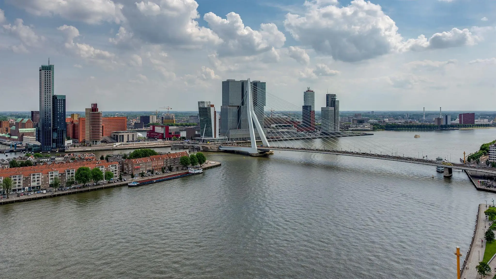 Uitzicht op de skyline van Rotterdam met de Erasmusbrug over de Maas en de hoogbouw op de Kop van Zuid.