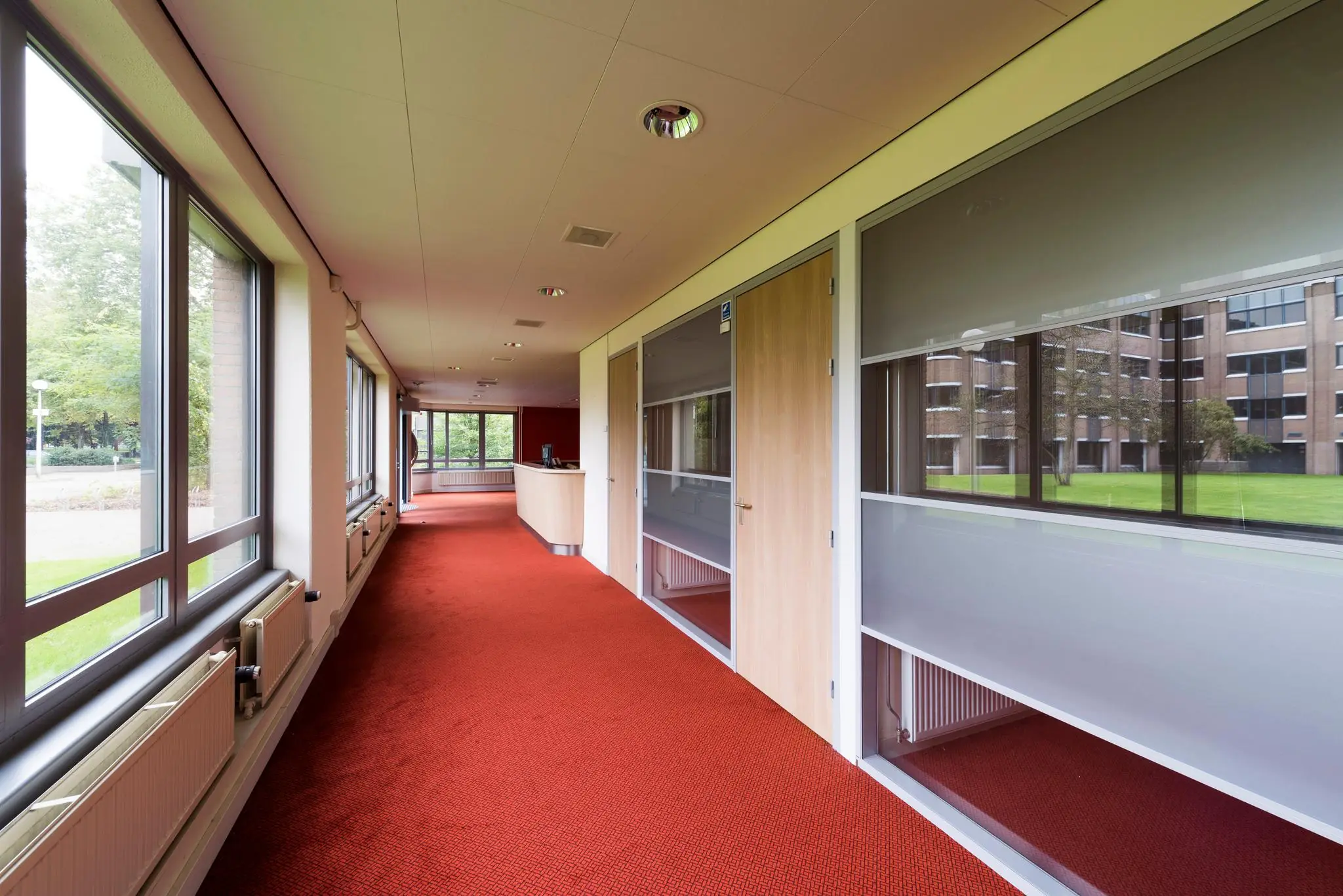 Lichte gang met rode vloerbedekking, houten deuren en grote ramen aan de Meesterlottelaan.
