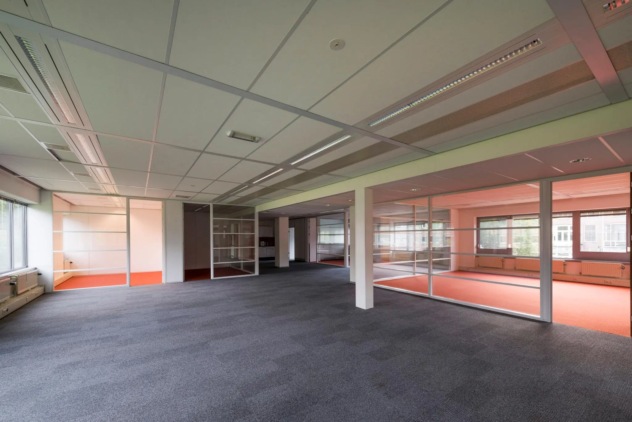 Leeg kantoorpand aan de Meesterlottelaan met glazen scheidingswanden en roodtapijt in aparte kantoorruimtes.