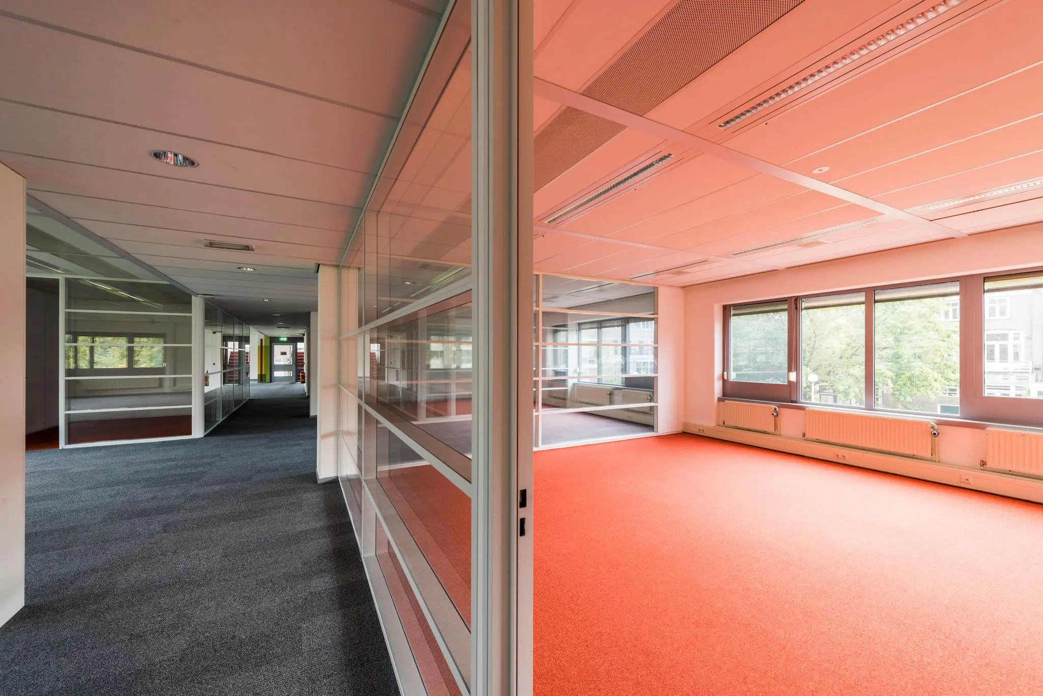 Licht en modern kantoorinterieur aan de Meesterlottelaan met glazen wanden en rood tapijt.
