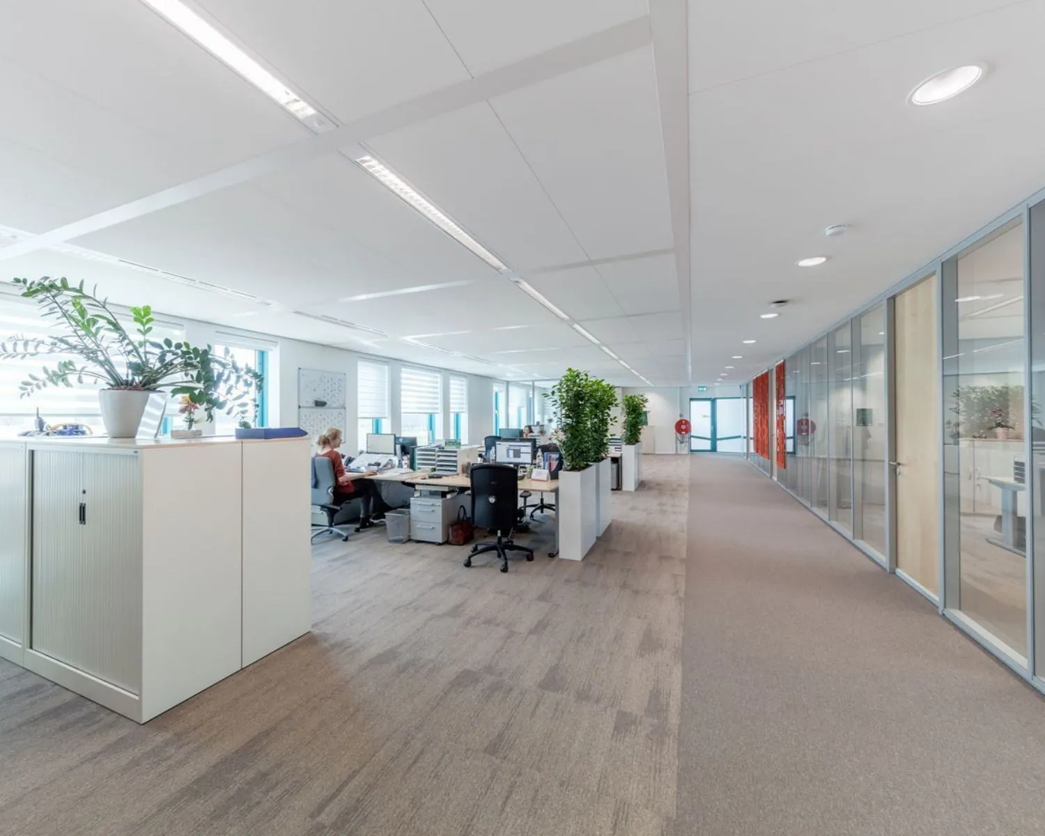 Open kantoorruimte met werkplekken, planten en glazen vergaderruimtes langs de gang.