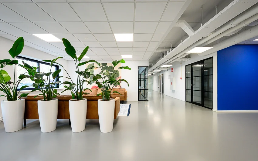 Moderne kantoorruimte aan de Essebaan met glazen wanden, witte bloempotten en een zithoek met leren banken.