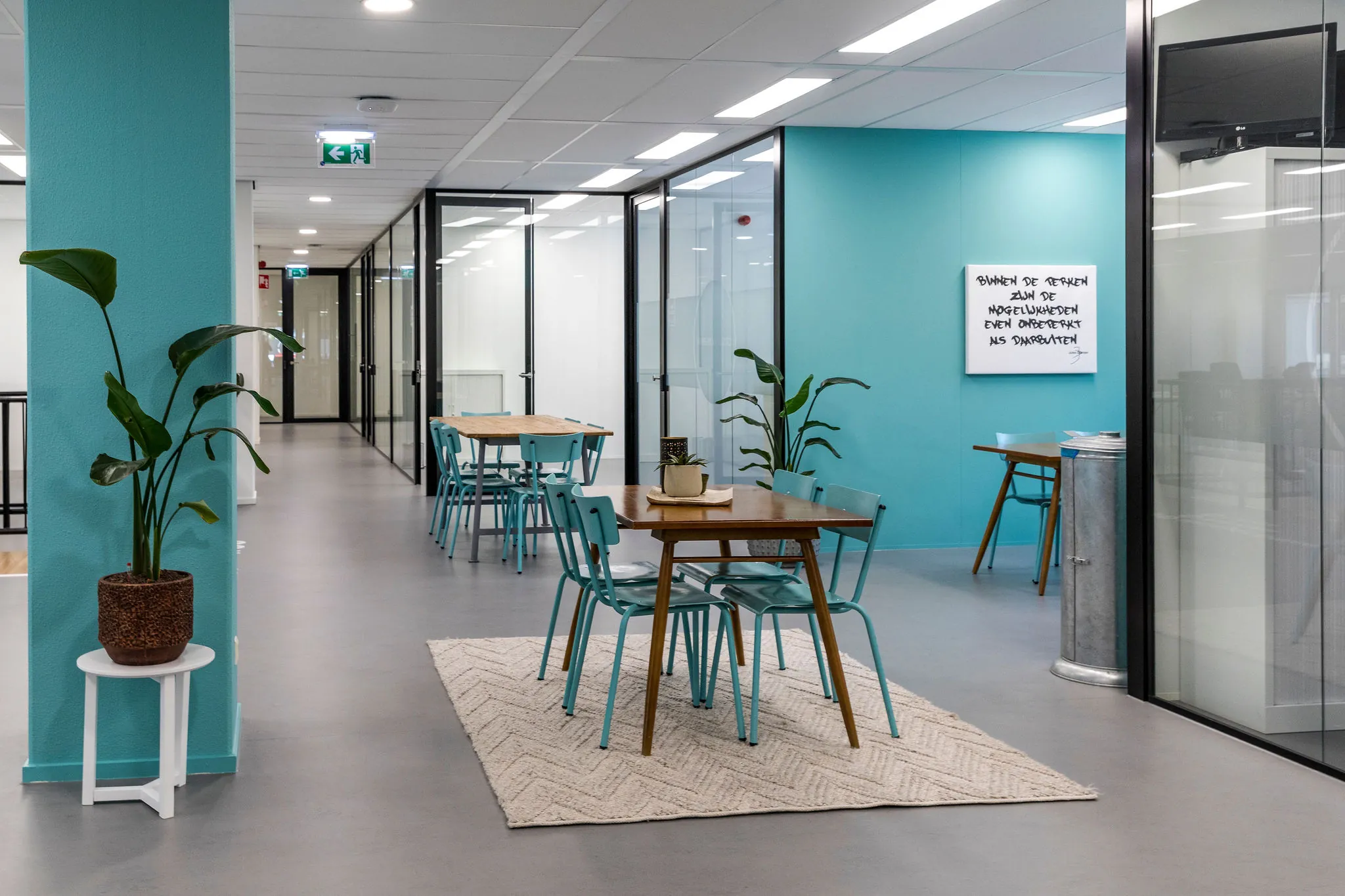 Moderne en kleurrijke kantoorruimte in HNK Rotterdam Centrum met turquoise muren, glazen vergaderruimtes en houten tafels met blauwe stoelen.