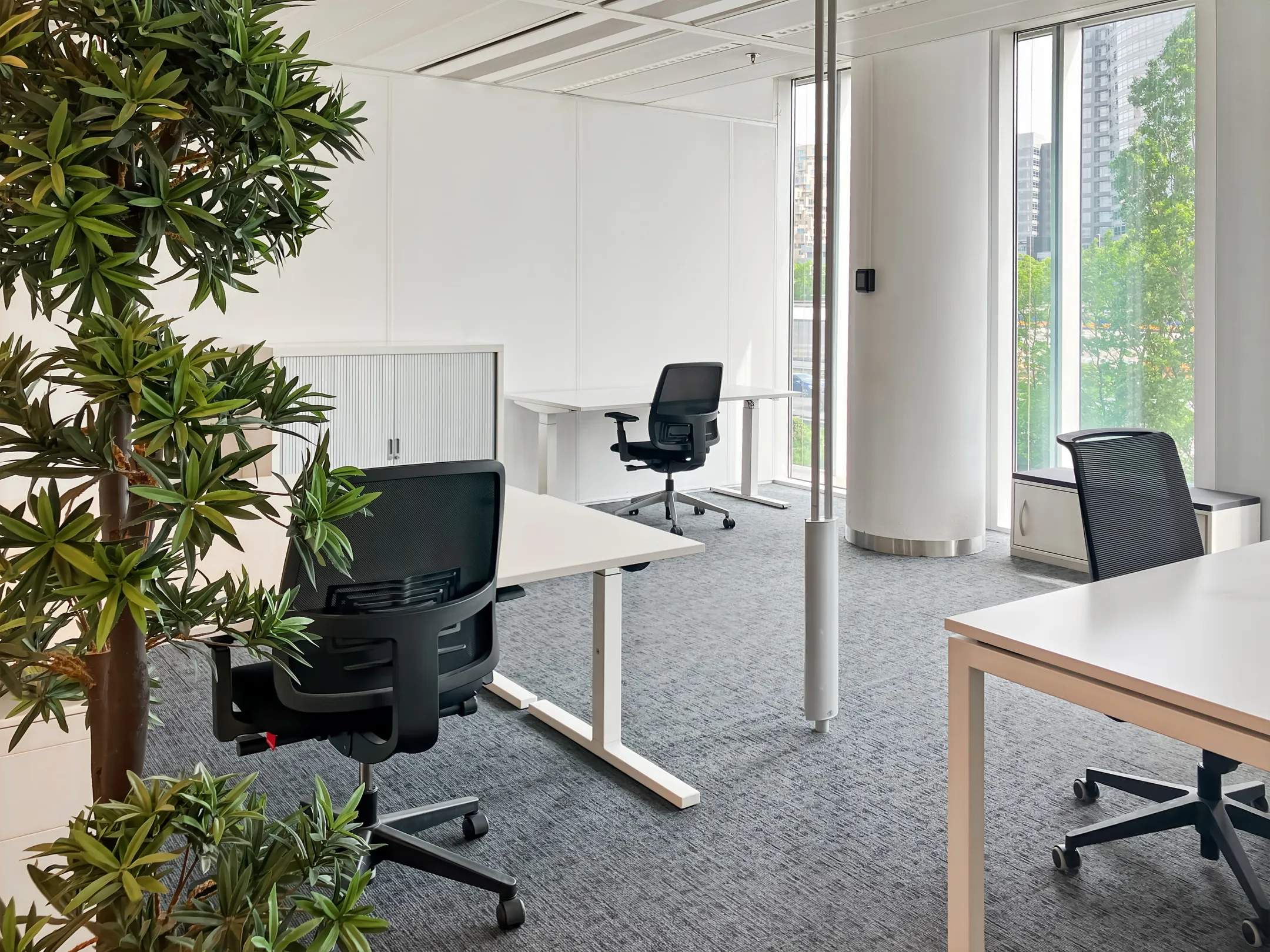 Een modern, licht kantoor met bureaus, stoelen en een grote kamerplant nabij een raam.