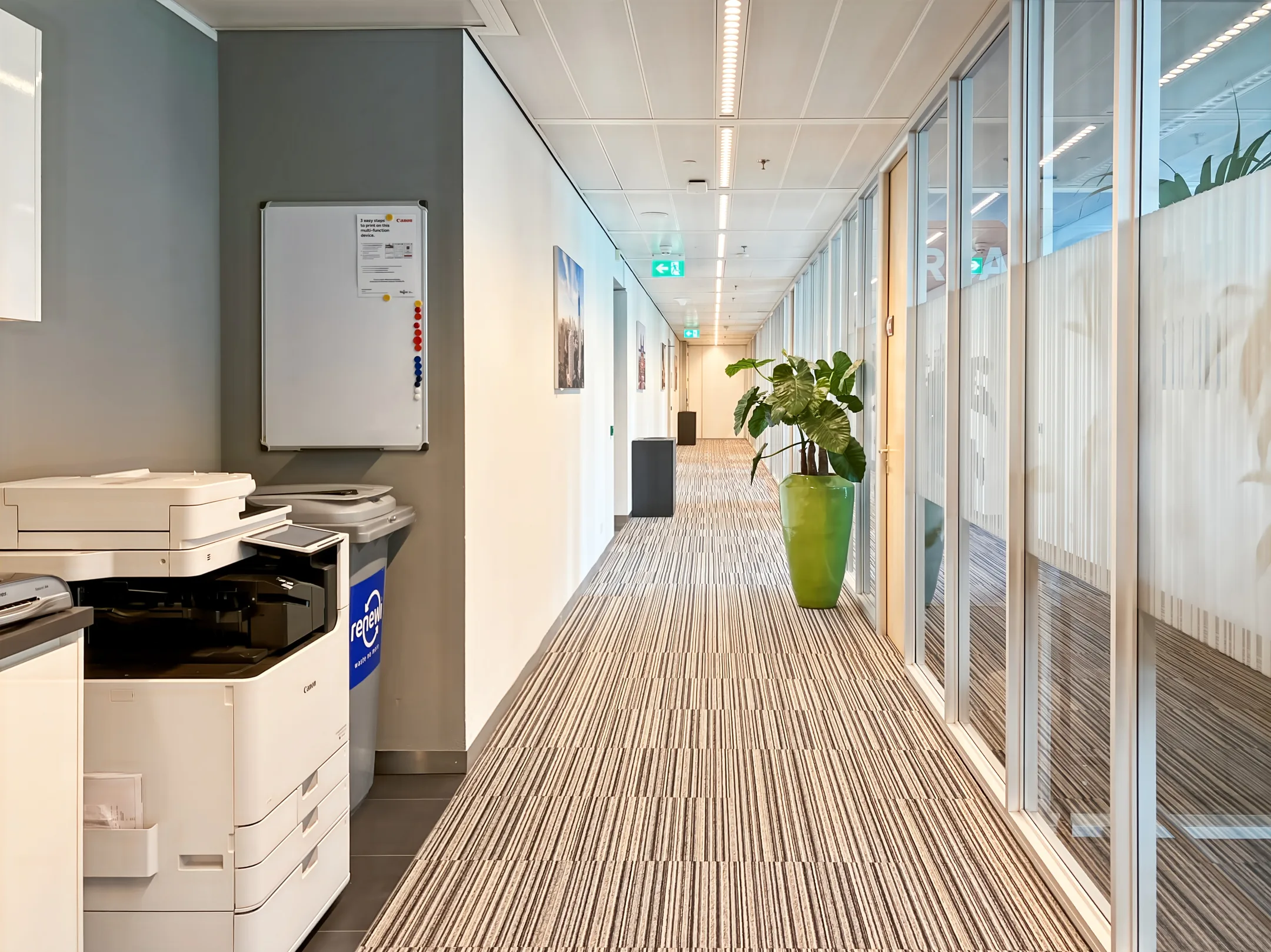 Een kantoorhal met een printer, prullenbak en een grote plant in een groene pot.