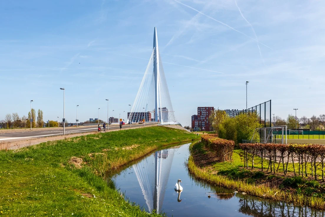 Moderne tuibrug aan de Orteliuslaan in Utrecht, weerspiegeld in een kanaal met een zwaan op de voorgrond.