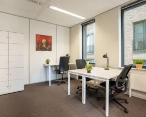 Kleine, moderne kantoorruimte met vier bureaus, zwarte bureaustoelen, witte kasten en planten bij het raam.