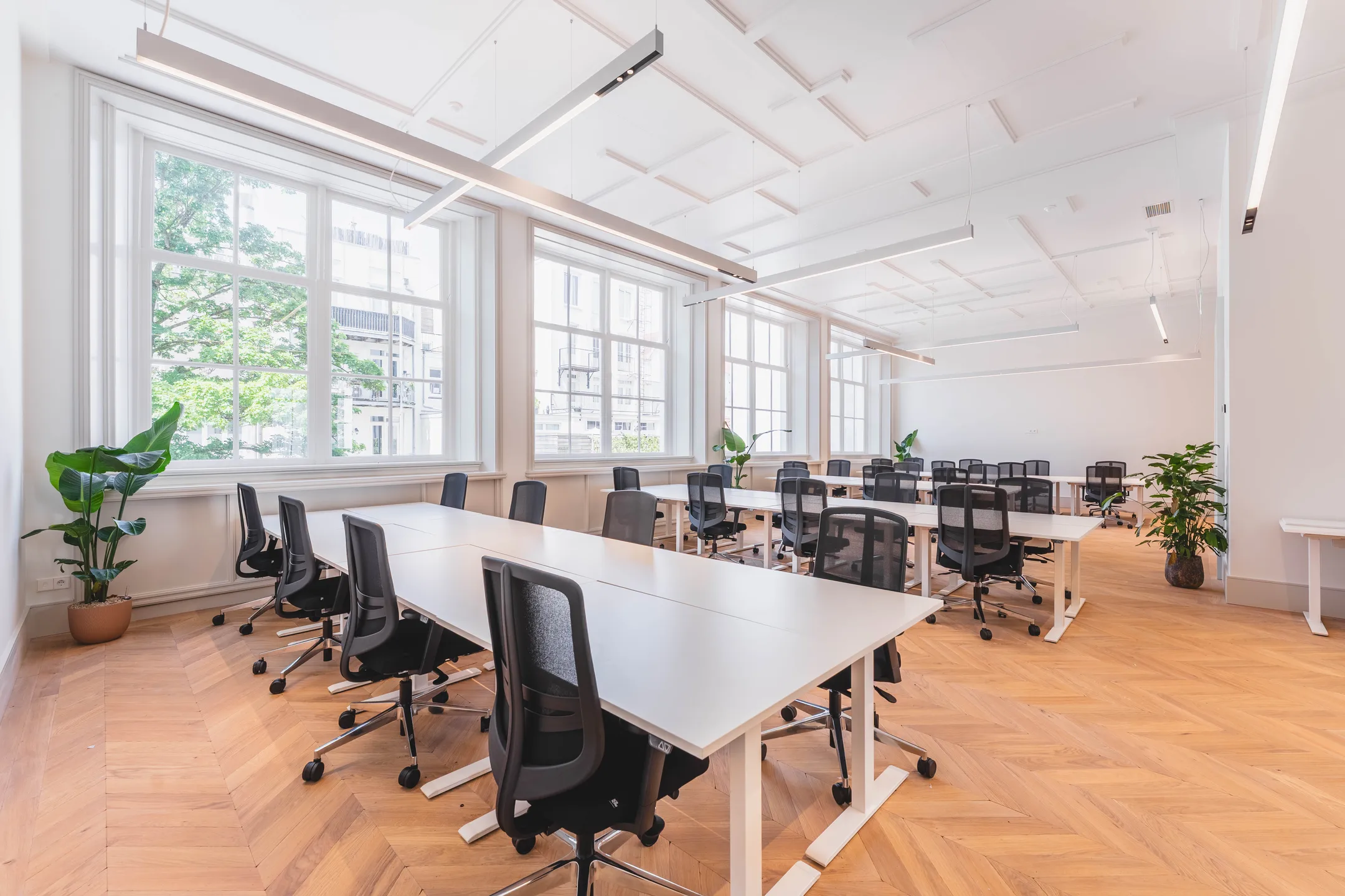 Een lichte, moderne kantoorruimte met meerdere bureaus en stoelen, en grote ramen die uitzicht bieden op groen buiten.
