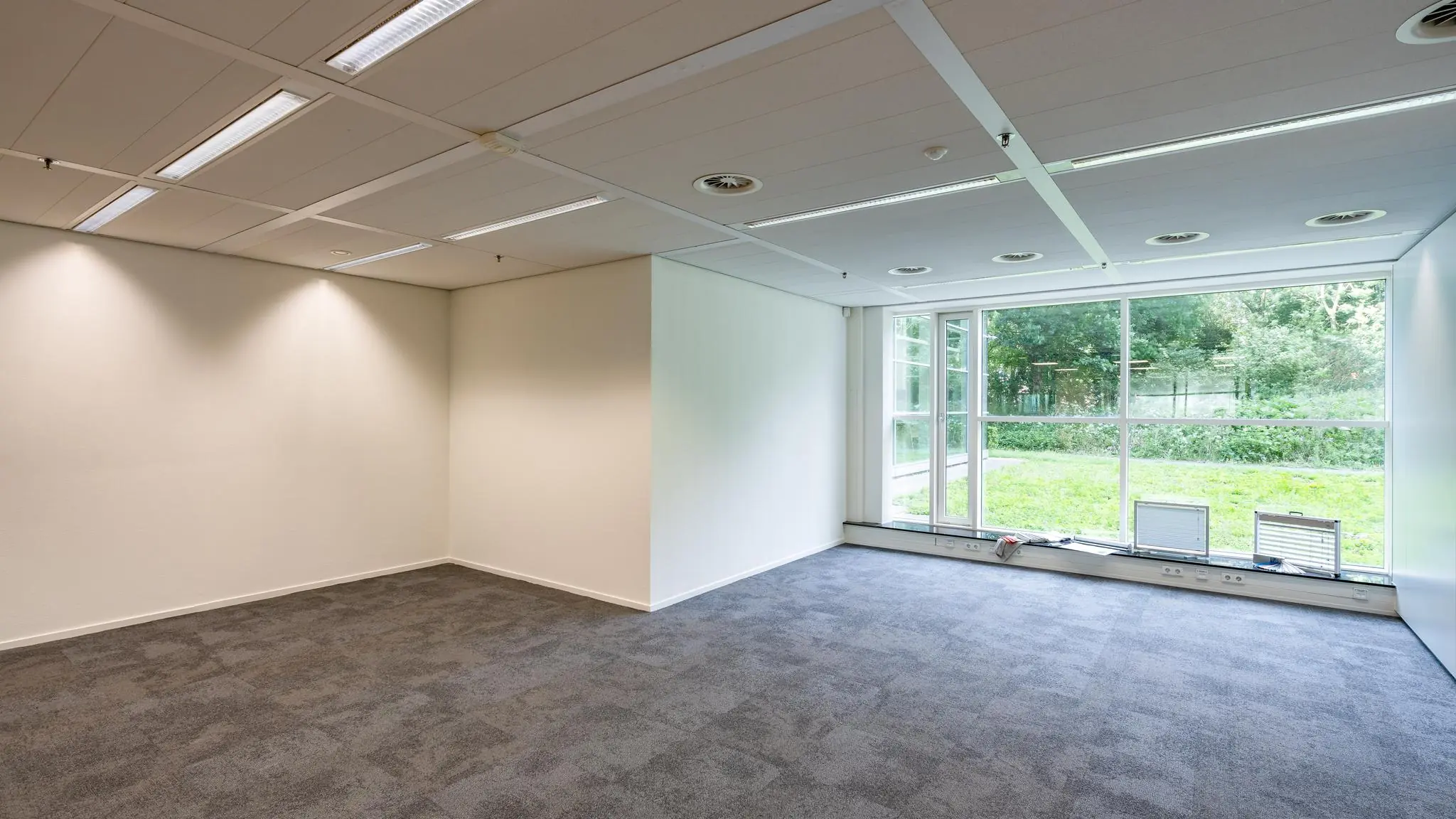 Leeg kantoor met grijze vloerbedekking en grote ramen aan de Newtonlaan met uitzicht op groen.