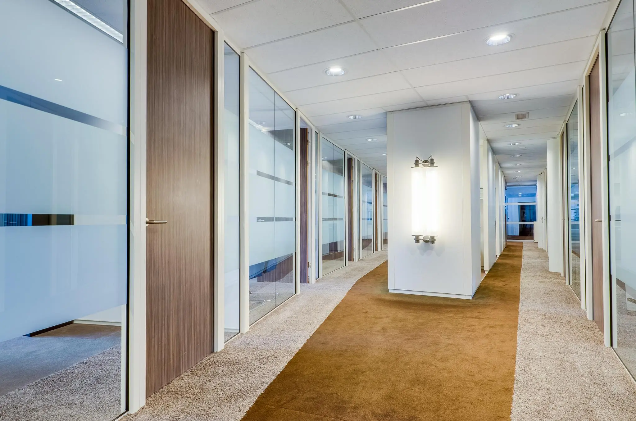 Moderne kantoorhal aan de Euclideslaan met glazen wanden, houten deuren en tapijtvloer.