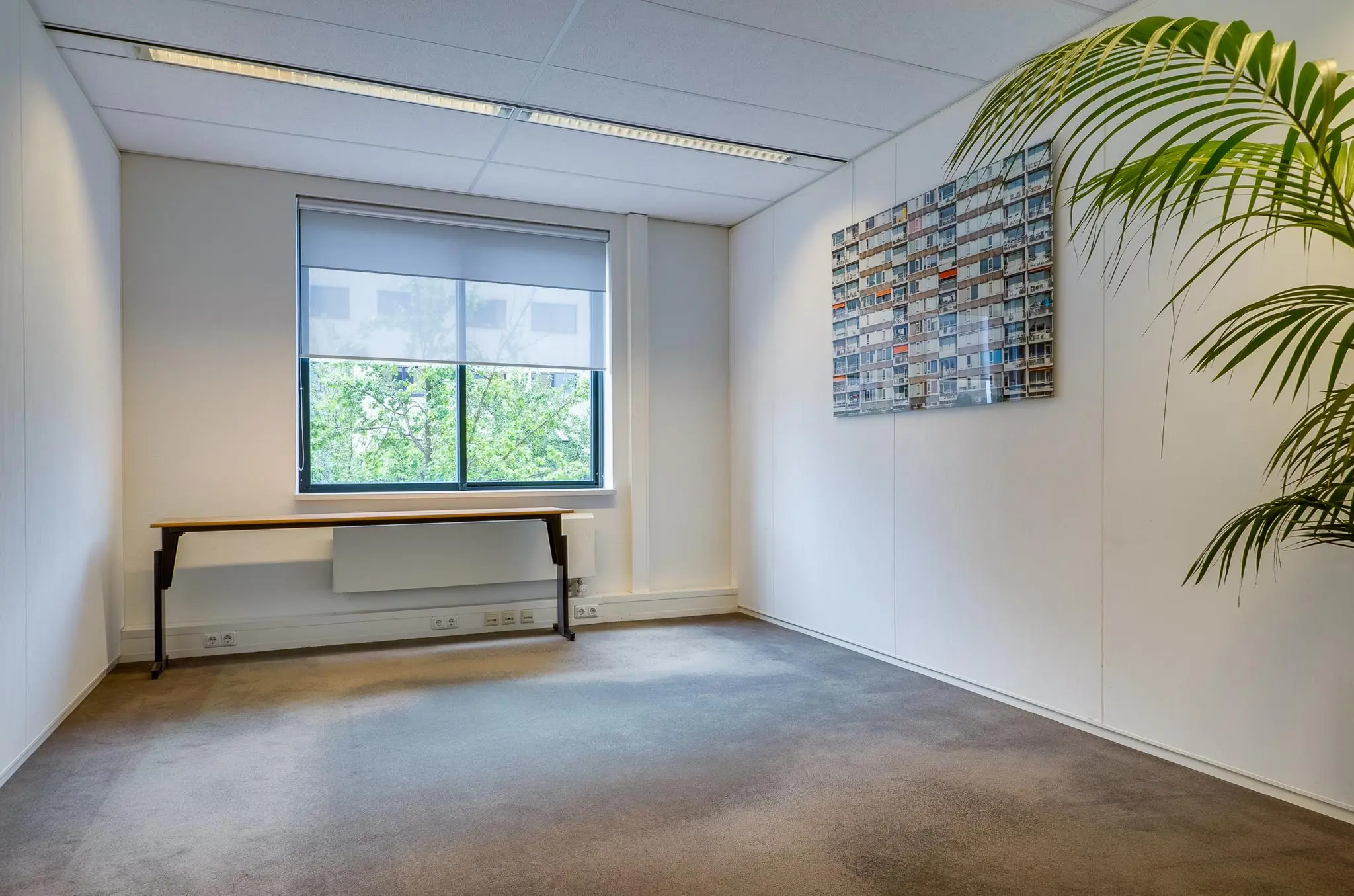 Leeg kantoor met raam, smal bureau, kunst aan de muur en een grote plant in de hoek aan de Euclideslaan.