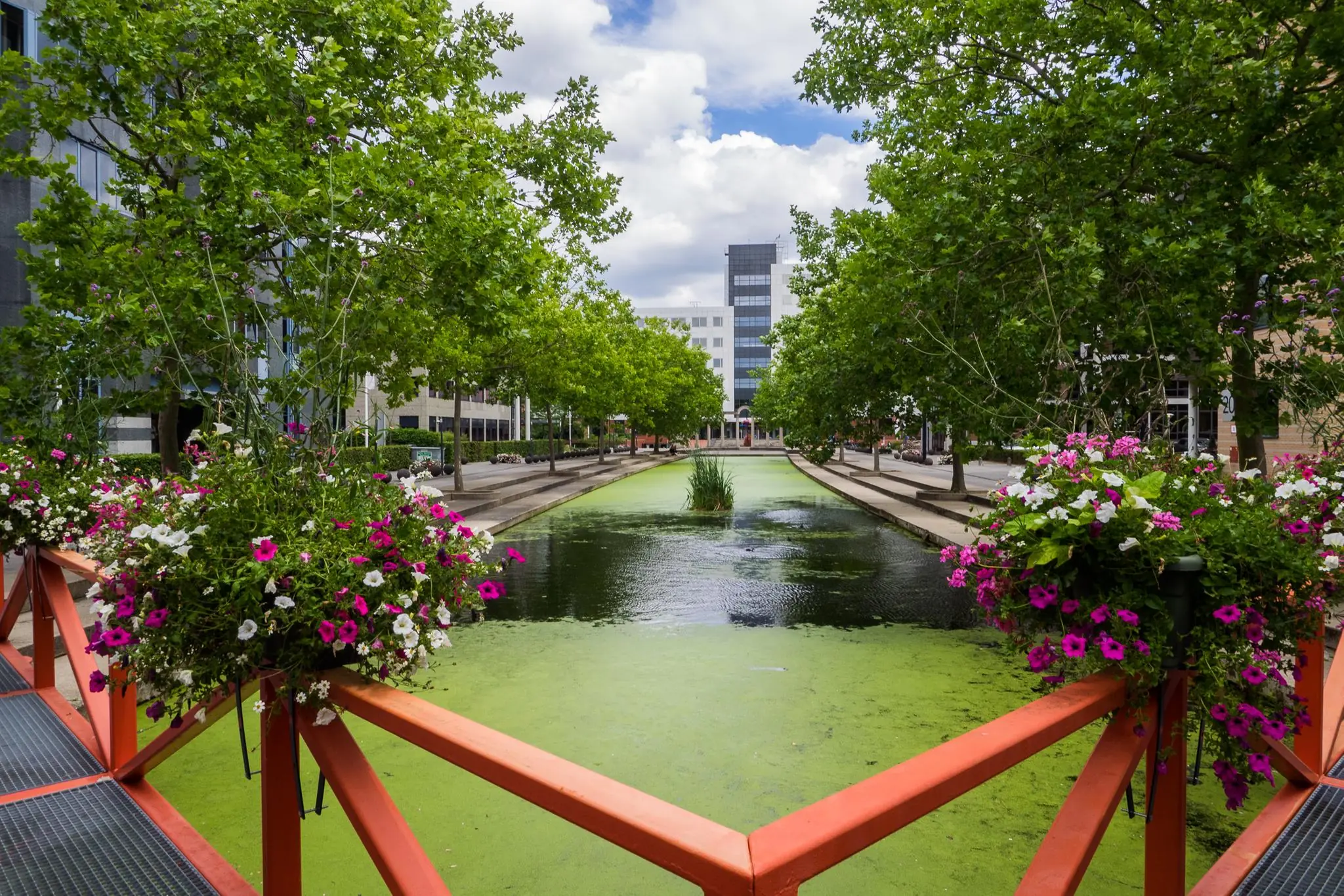 Uitzicht vanaf een rood bruggetje met bloemenbakken op de groene gracht langs de Euclideslaan in Utrecht, omringd door bomen en kantoorgebouwen.