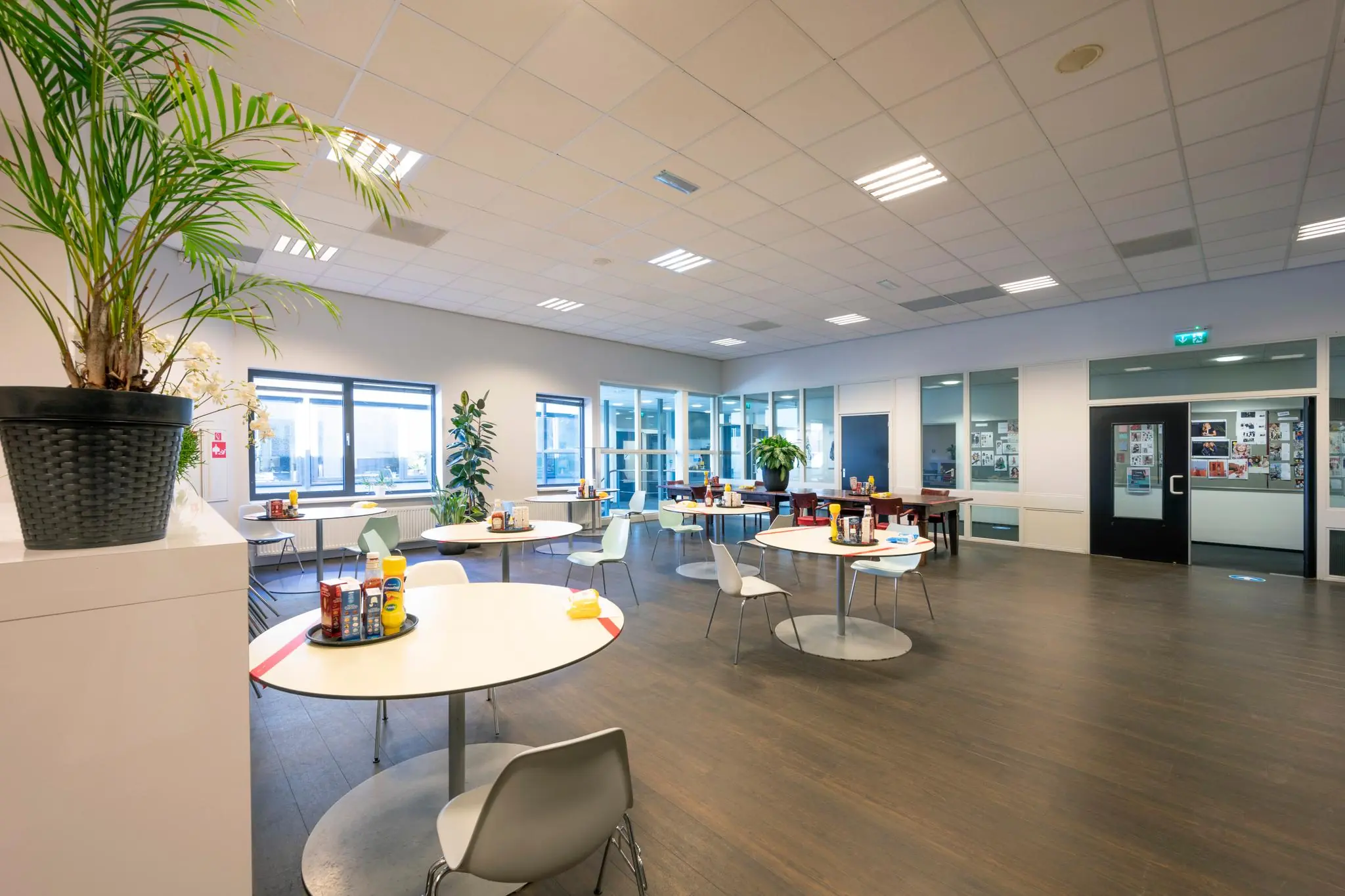 Moderne, licht ingerichte kantine met ronde tafels, stoelen en planten in gebouw Stammerhove.