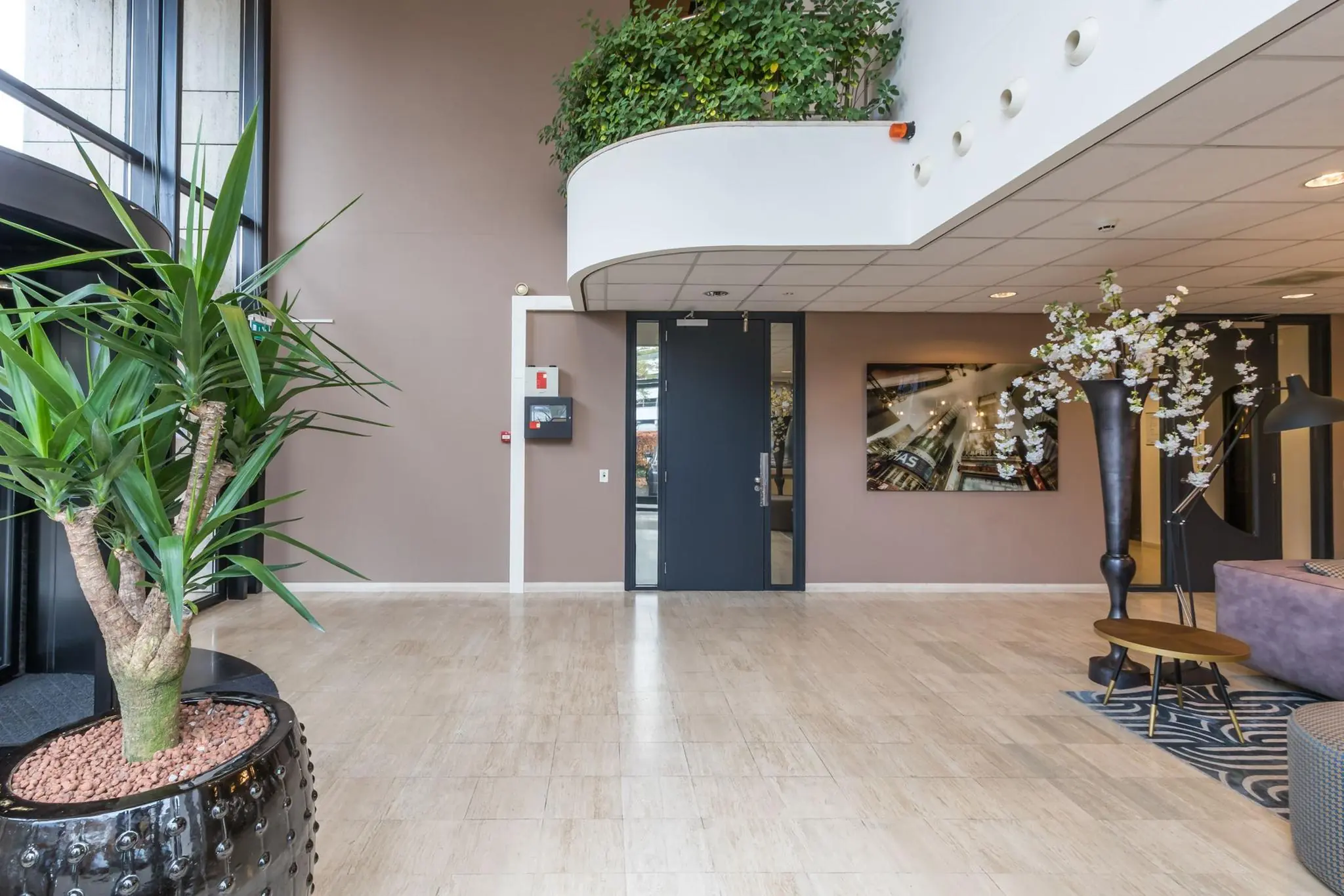 Moderne ontvangsthal met grote planten, kunst aan de muur en een glazen ingang.
