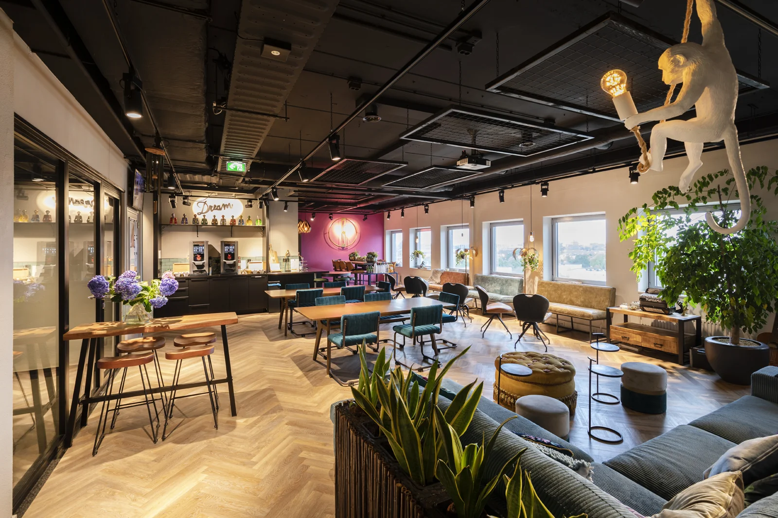 Moderne en sfeervol ingerichte foyer van de Academie met zithoeken, een koffiestation en een speelse hanglamp in de vorm van een aap.