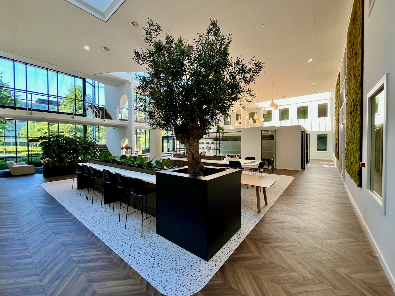 Moderne lounge 0.13 met een grote boom centraal in een open, licht ingerichte ruimte met zitplekken en veel groen.