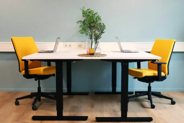 Twee werkplekken met gele bureaustoelen, laptops en een plant op een gedeeld bureau in Blankenstein 400.