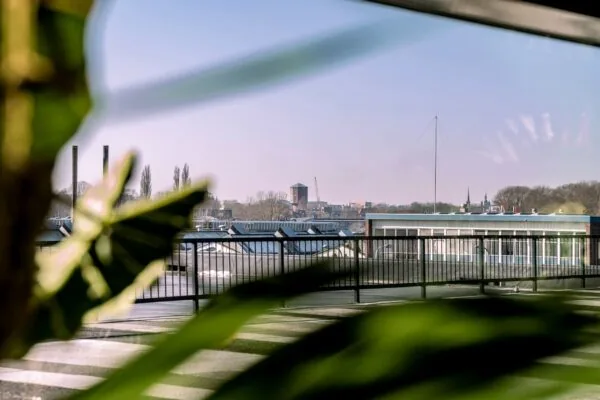 Uitzicht vanaf Ceintuurbaan 28_3 op daken, een toren en skyline met schoorstenen en kerktorens, omlijst door groene bladeren.