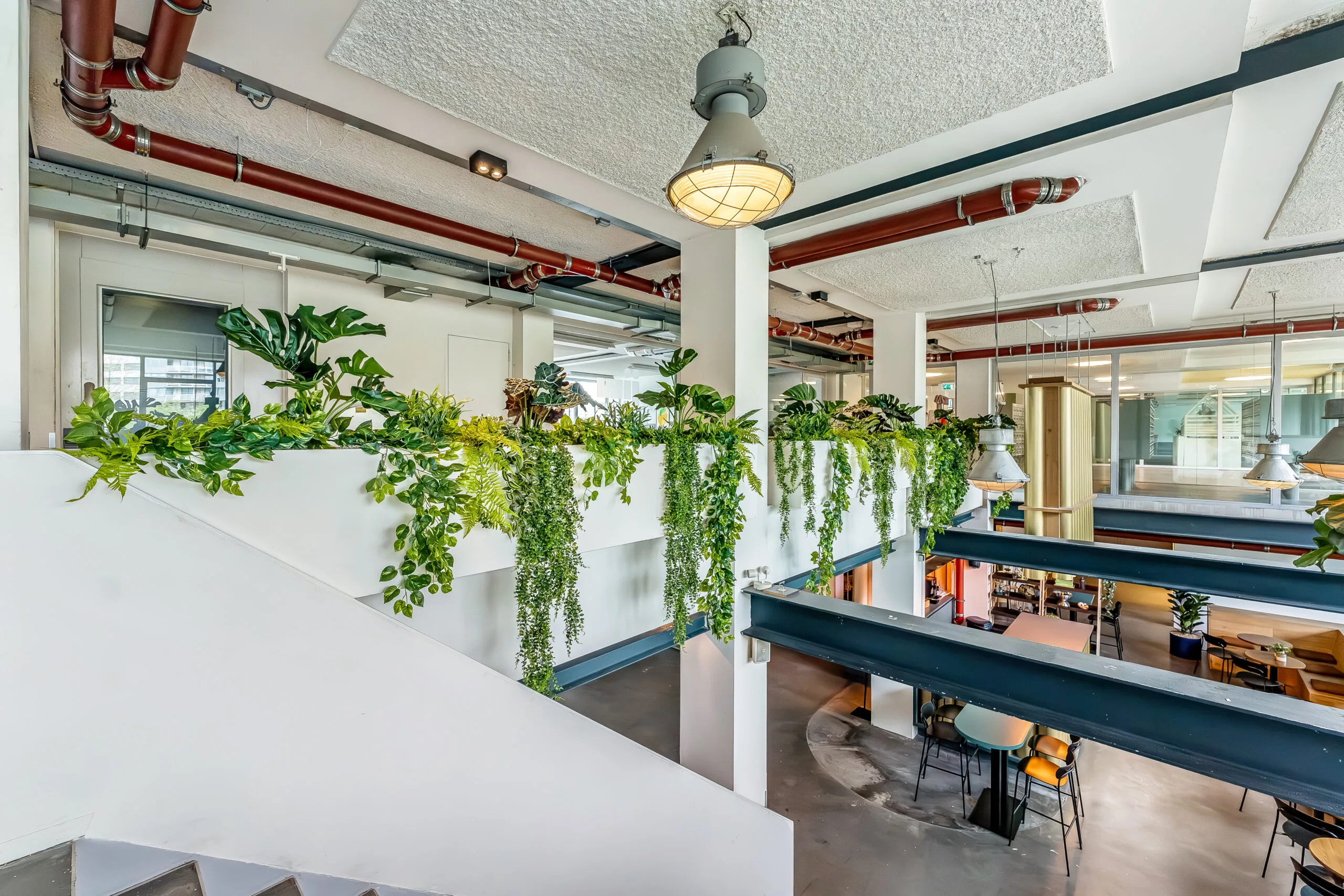 Modern kantoorinterieur met veel hangende planten en industriële details.