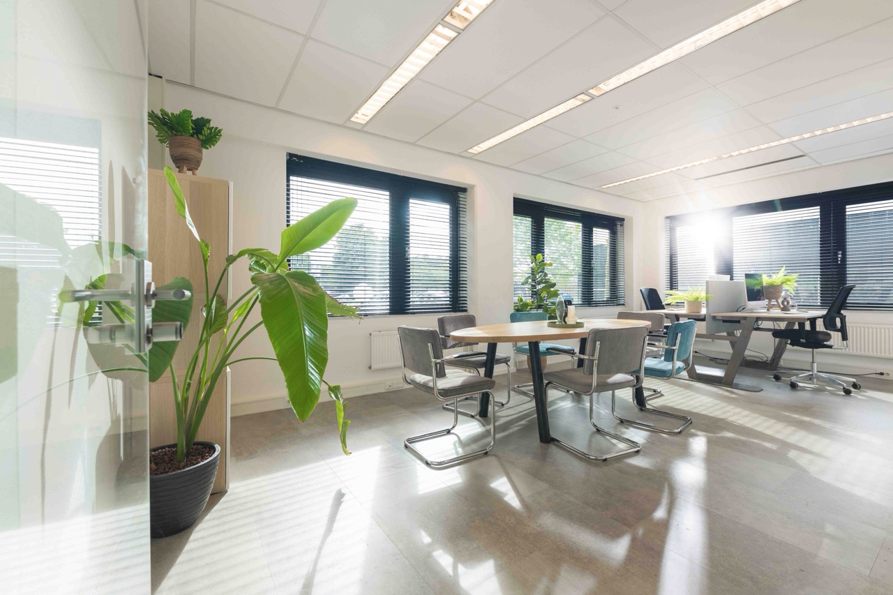 Licht en modern kantoor met ronde vergadertafel, bureaus, grote ramen en veel groene planten.