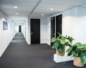 Lange, moderne kantoorgang met zwarte deuren, witte muren, kamerplanten en wanddecoratie.
