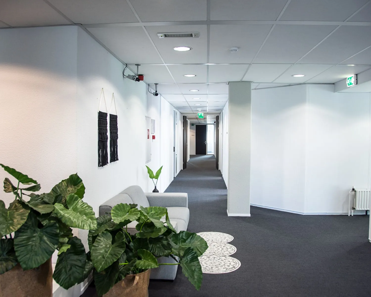 Moderne kantoorhal met een grijze bank, groene planten en witte muren.
