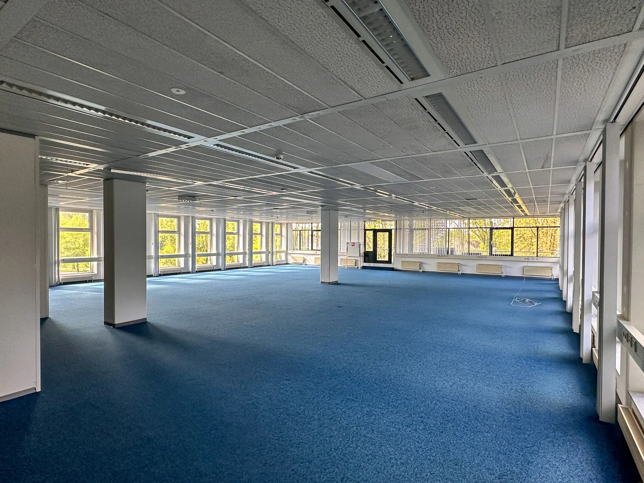 Ruime, leegstaande kantoorruimte met blauwe vloerbedekking en grote ramen aan de Daltonlaan 200.