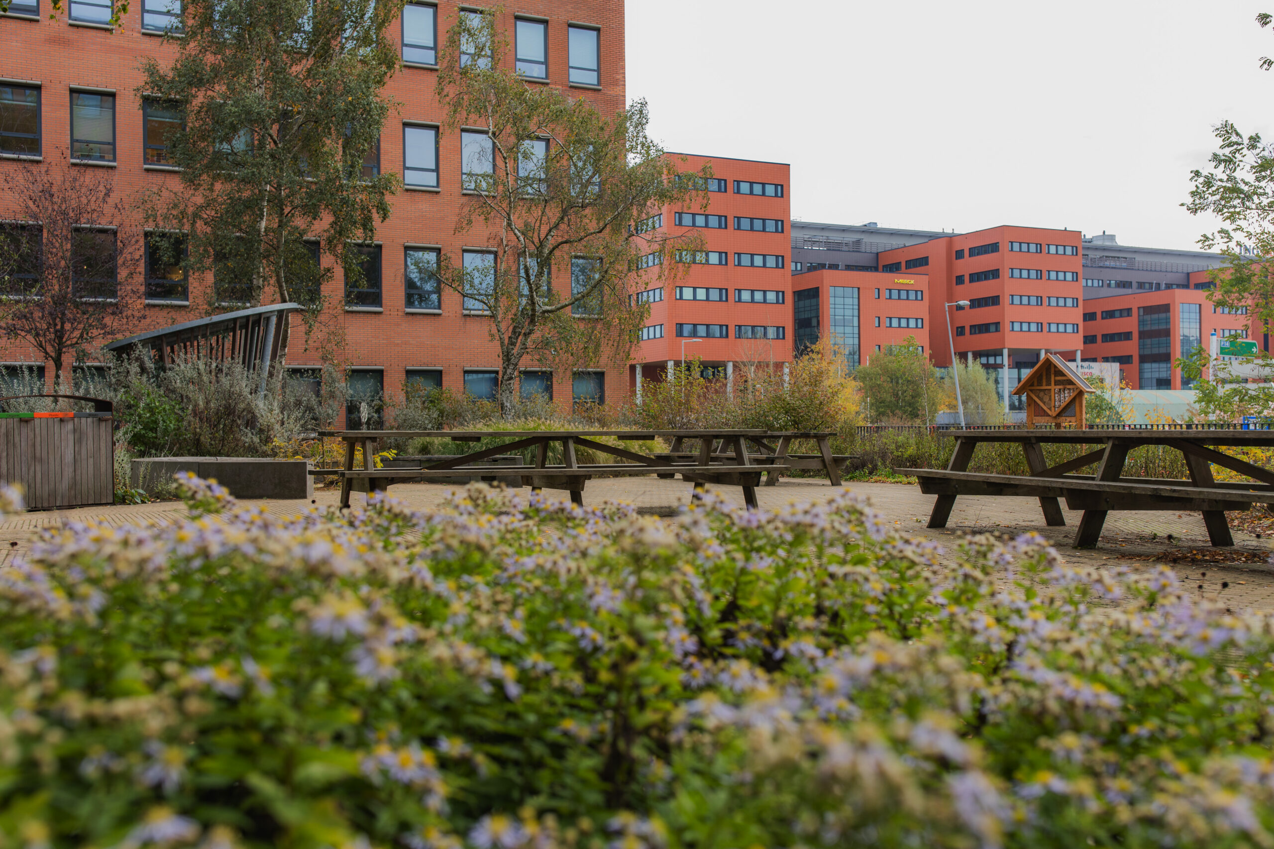 Outdoor garden area with picnic tables and flowers in front of the Hullenberg office buildings.