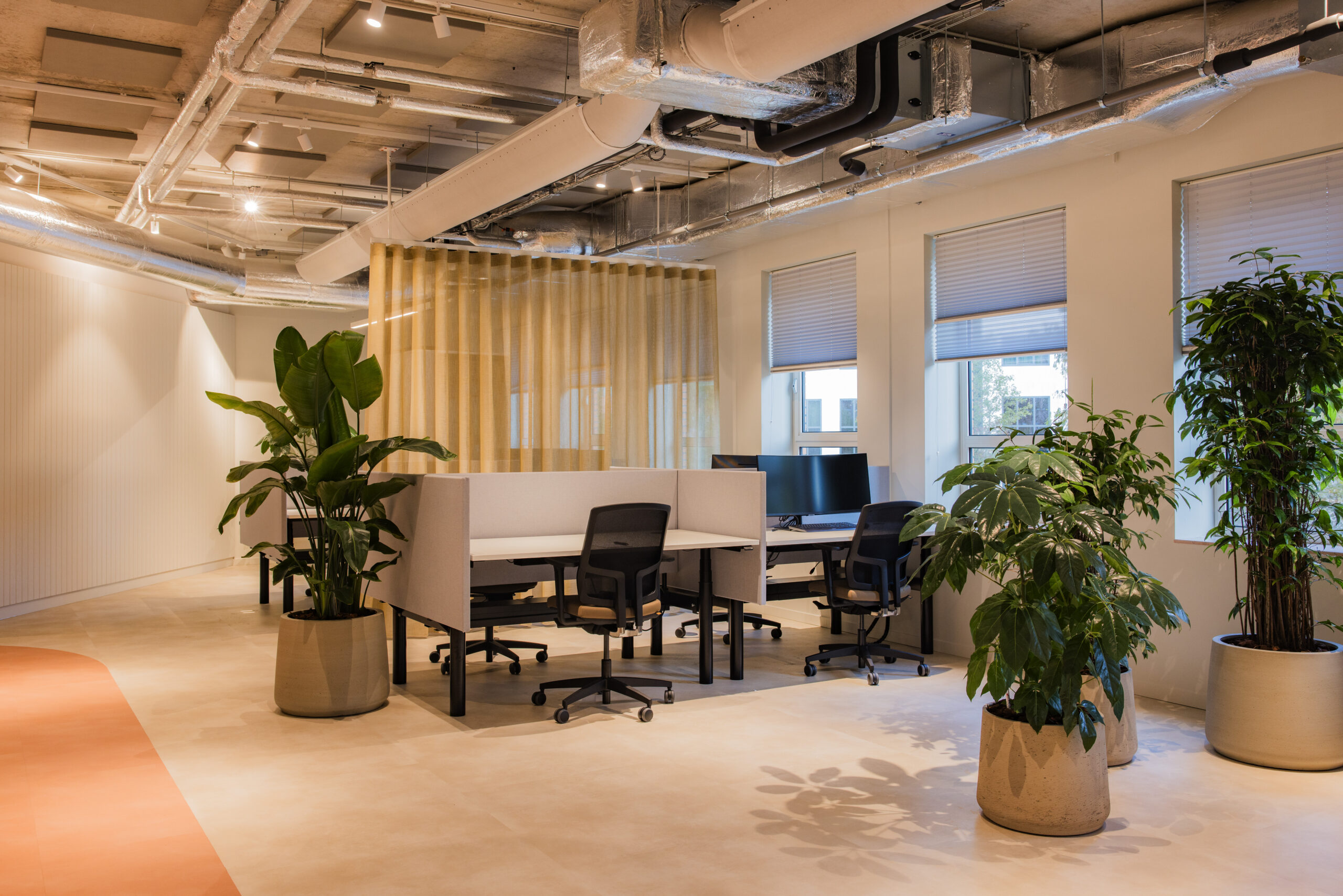 Modern office space at Hullenberg with workstations, ergonomic chairs, large indoor plants, and exposed industrial ceiling.