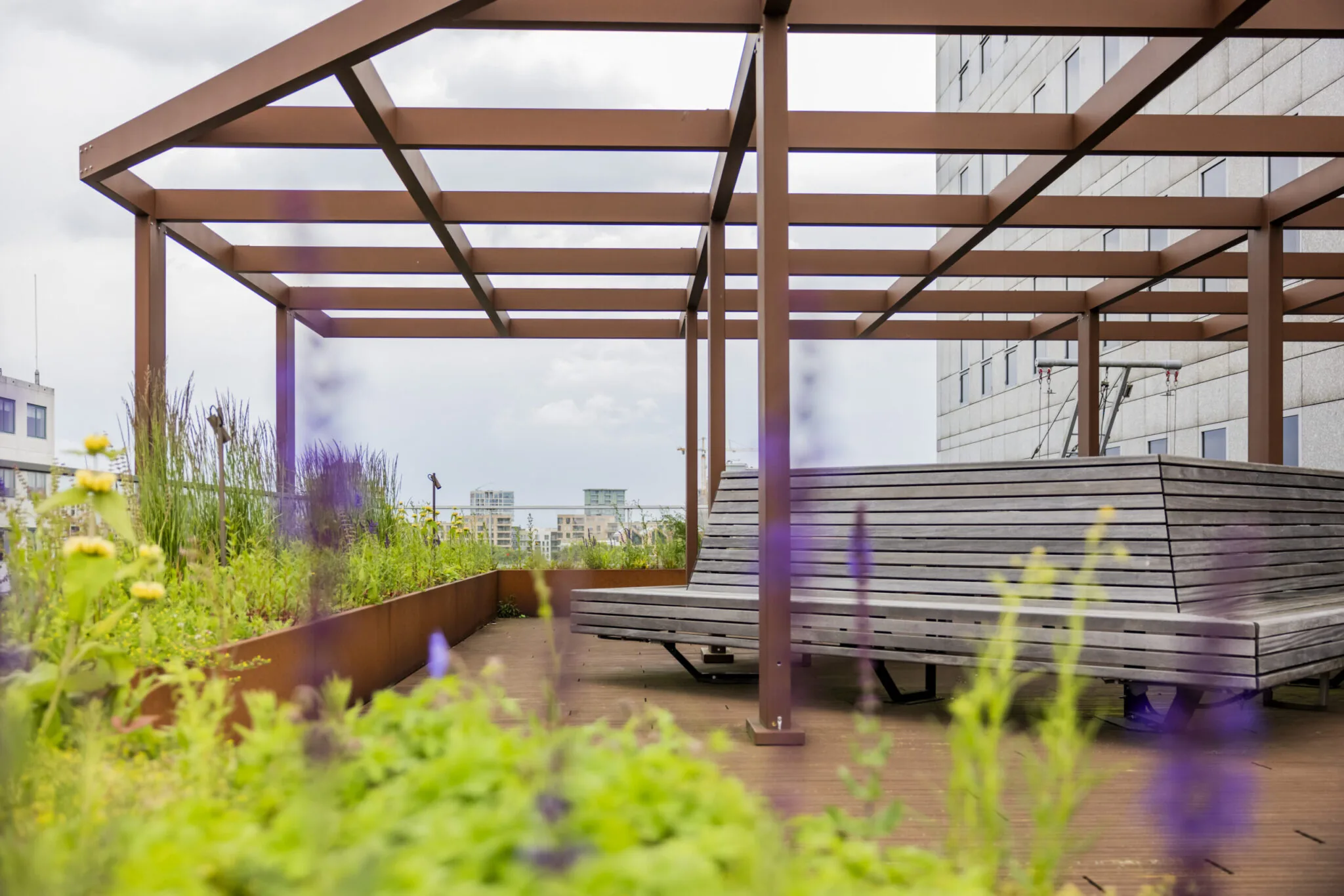 Daktuinterras van EO Diemen met houten zitbanken, pergola en omliggende beplanting.