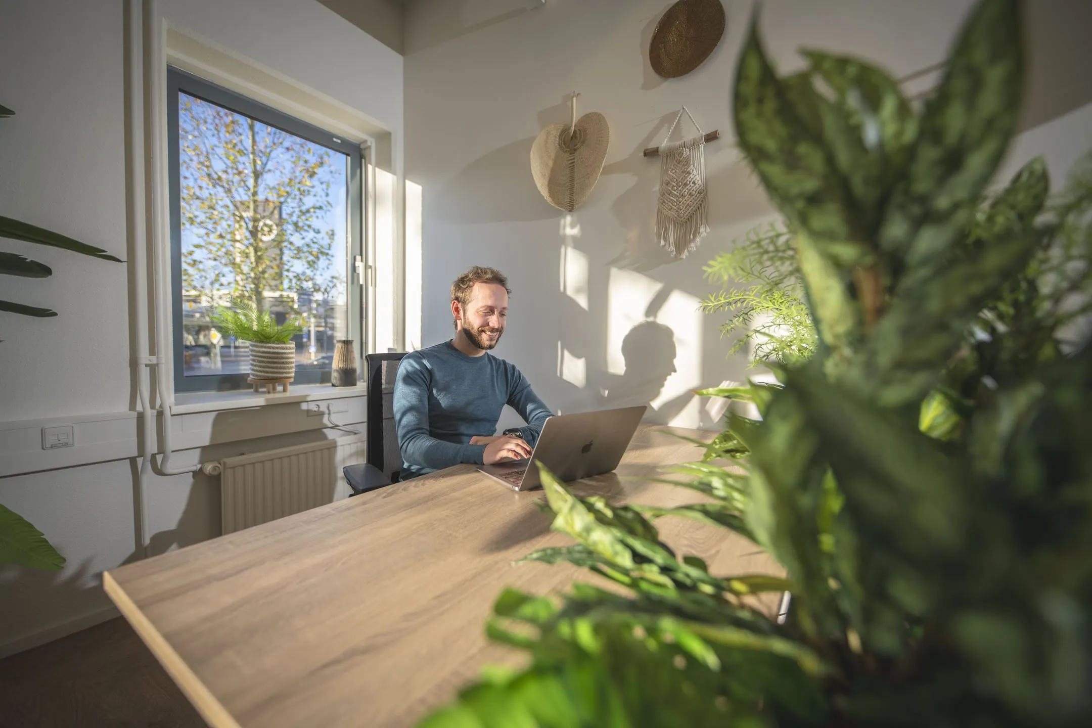 Man werkt op een laptop in een zonnig, groen ingericht kantoor aan de Egbert Gorterstraat.