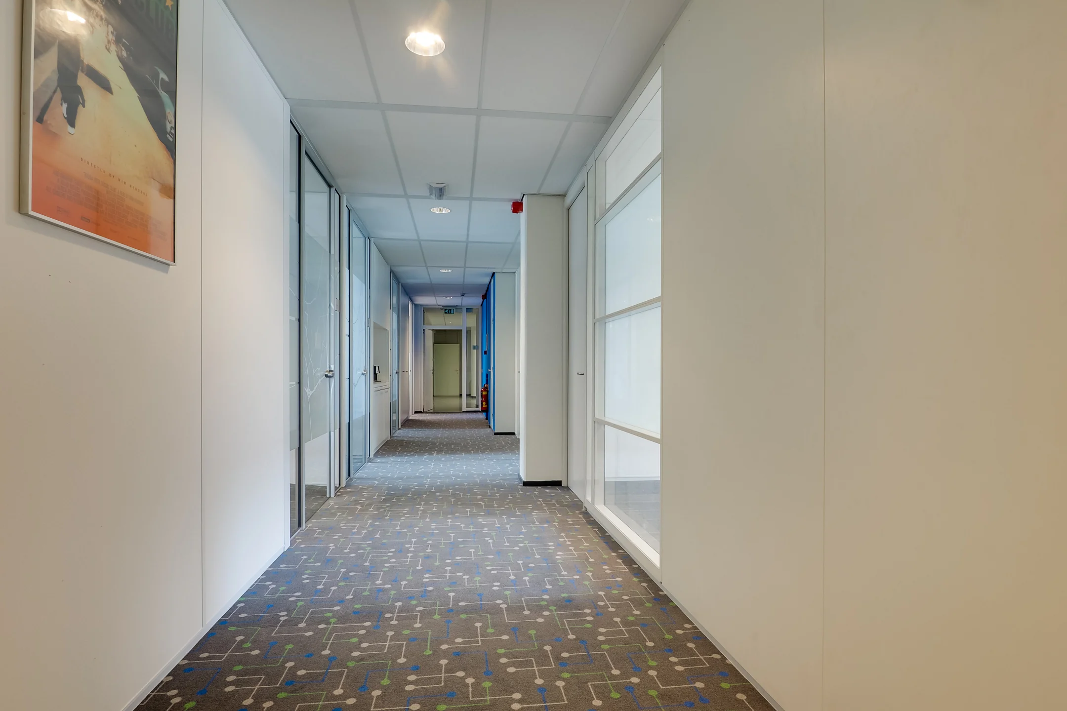 Licht verlichte kantoorhal met glazen deuren en kleurrijk patroon op het tapijt.