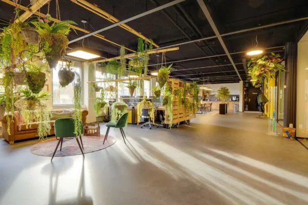 Moderne kantoorruimte aan de Europalaan 400 met veel hangende planten en een open, licht interieur.