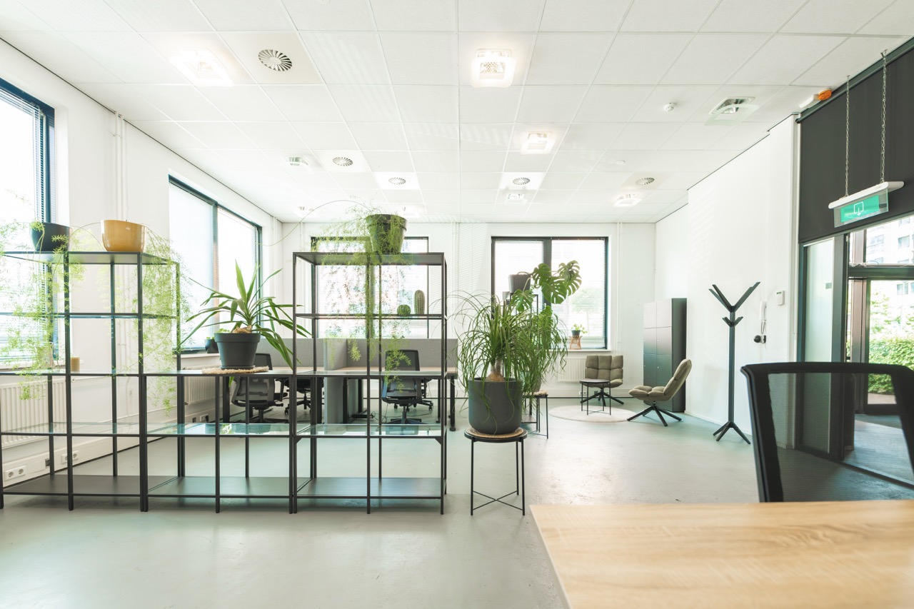 Lichte en moderne flexwerkruimte met bureaus, planten en zitplekken.
