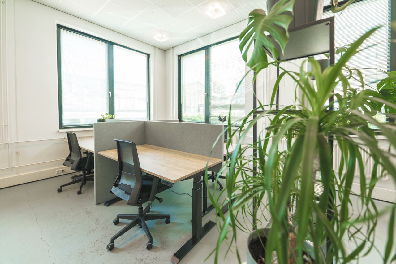 Moderne flexplekken met bureaus, stoelen en veel natuurlijk licht in een open kantoorruimte met planten.